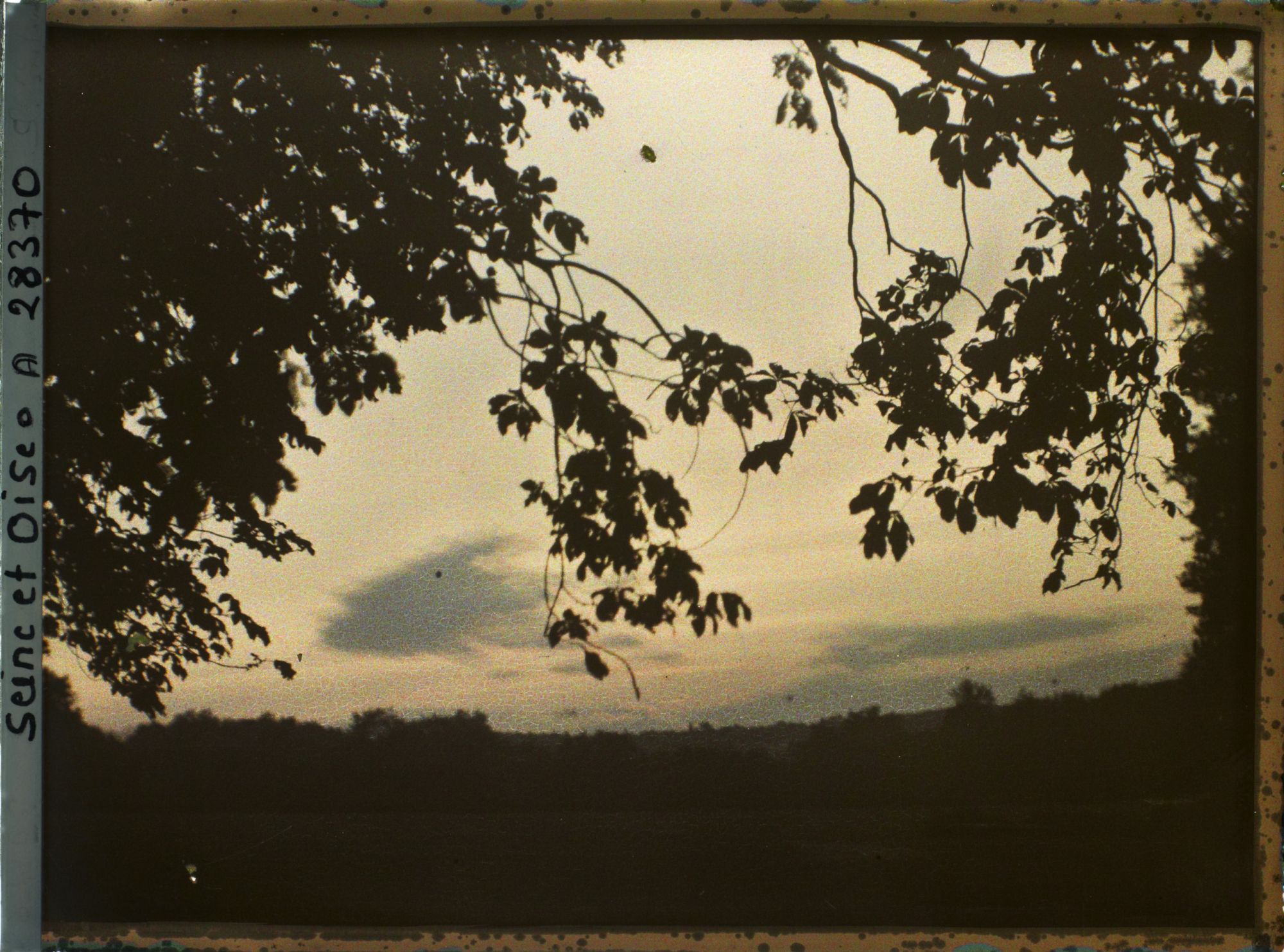 Image représentant Coucher de Soleil