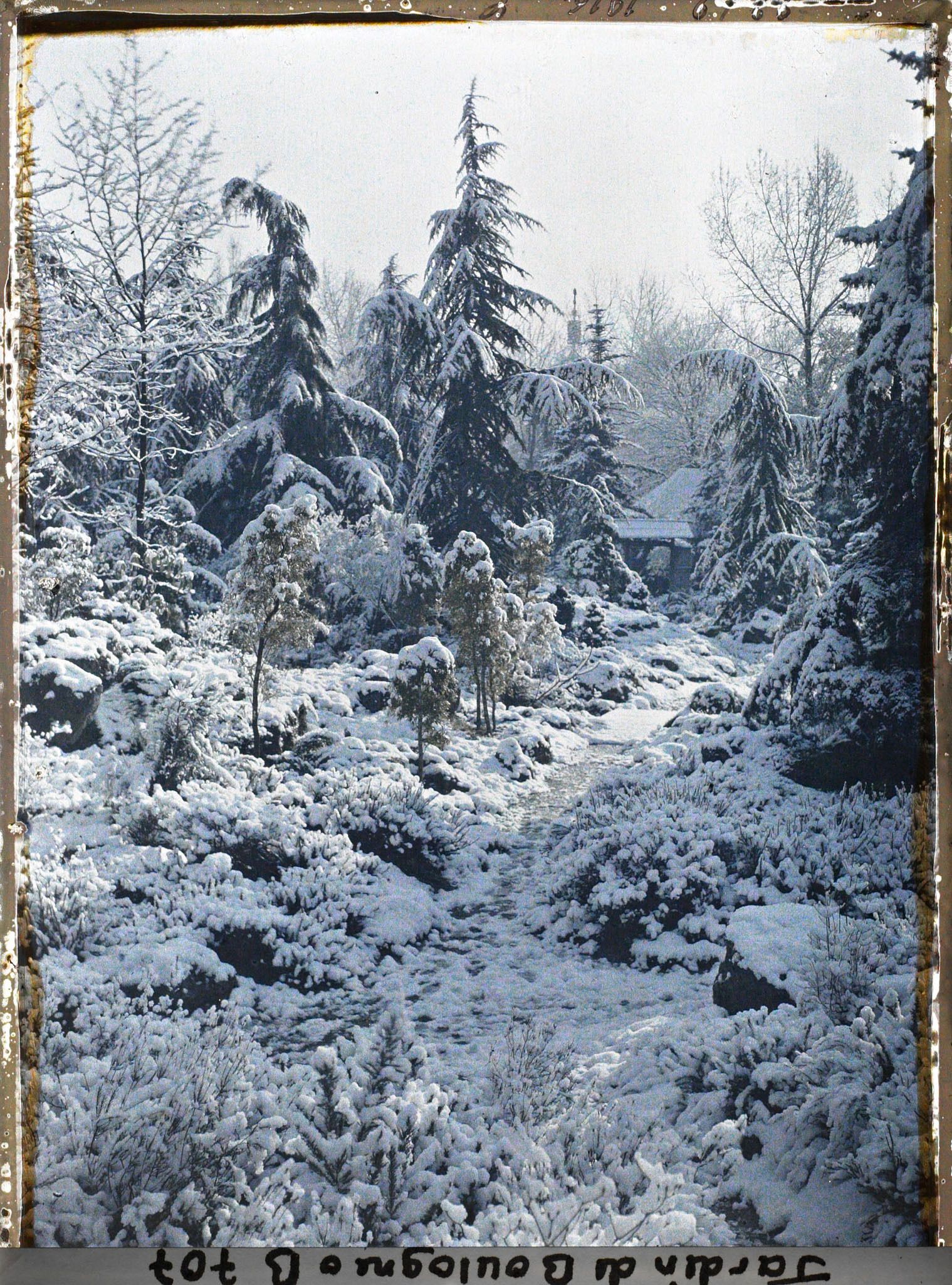 Image représentant Espace arboré du " sanctuaire japonais " sous la neige avec une allée menant au " village japonais "