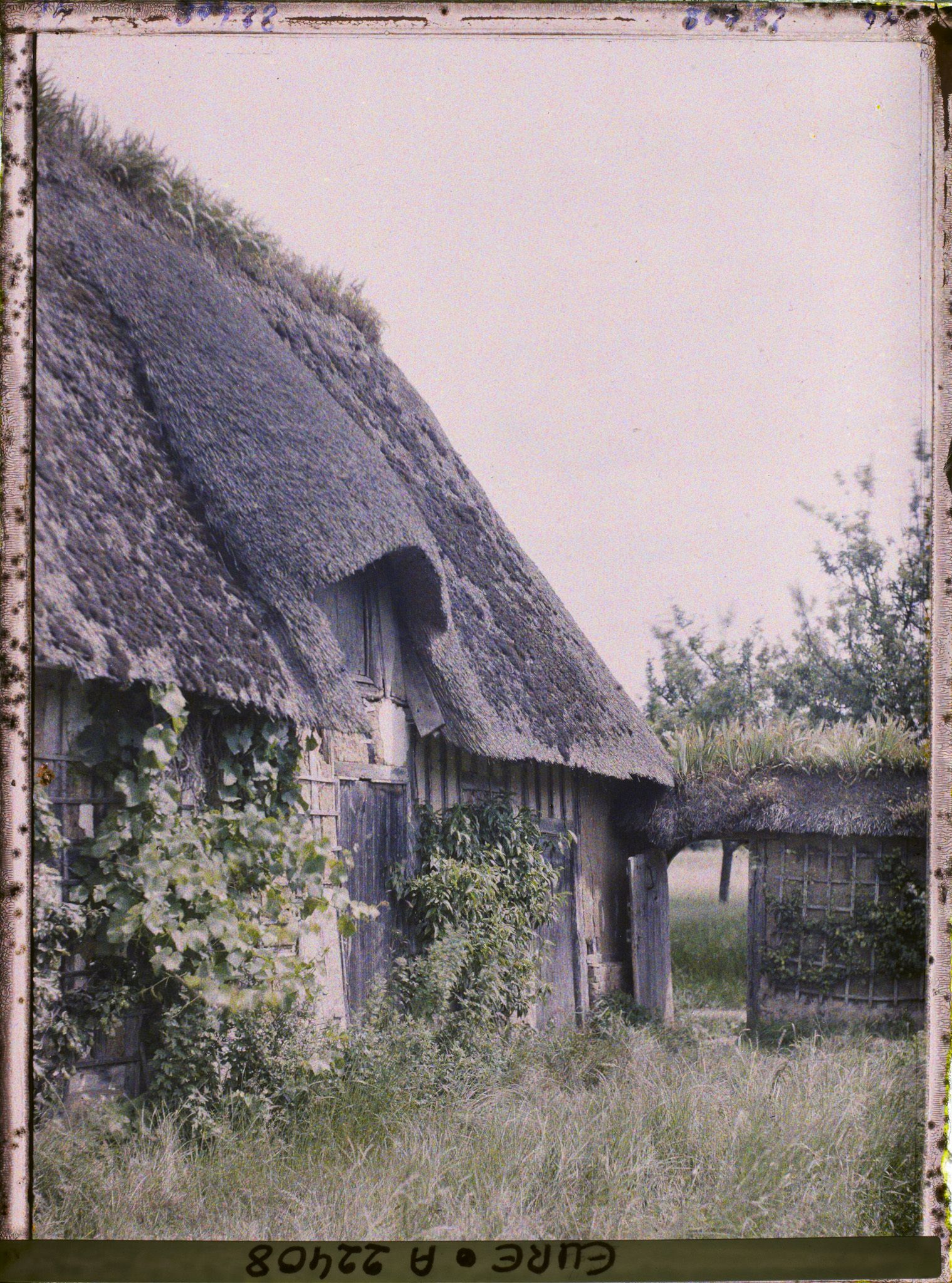 Image représentant Petite entrée d'une ferme