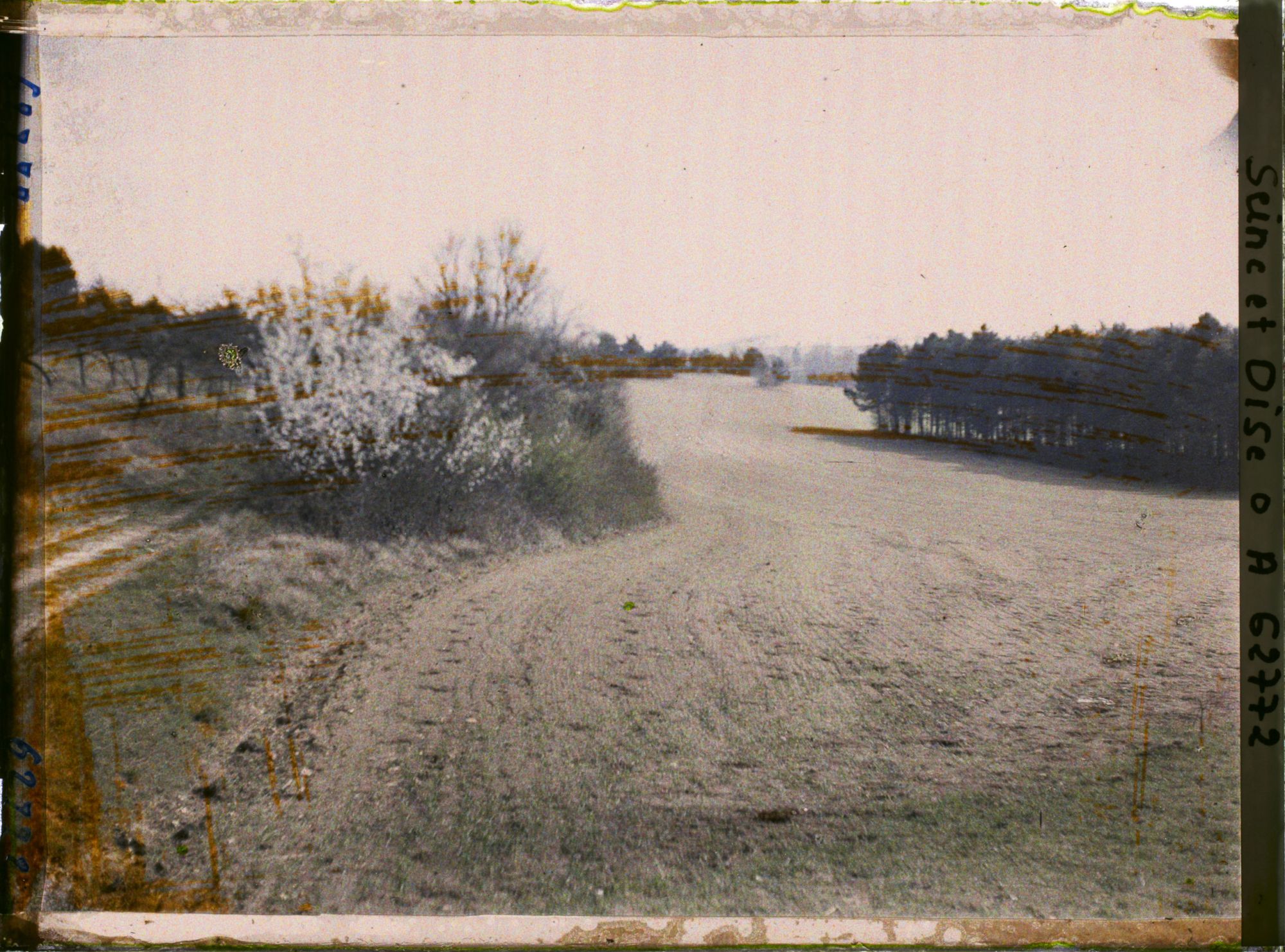 Image représentant Ile de France, Vallangoujard, Blé au début de la pousse