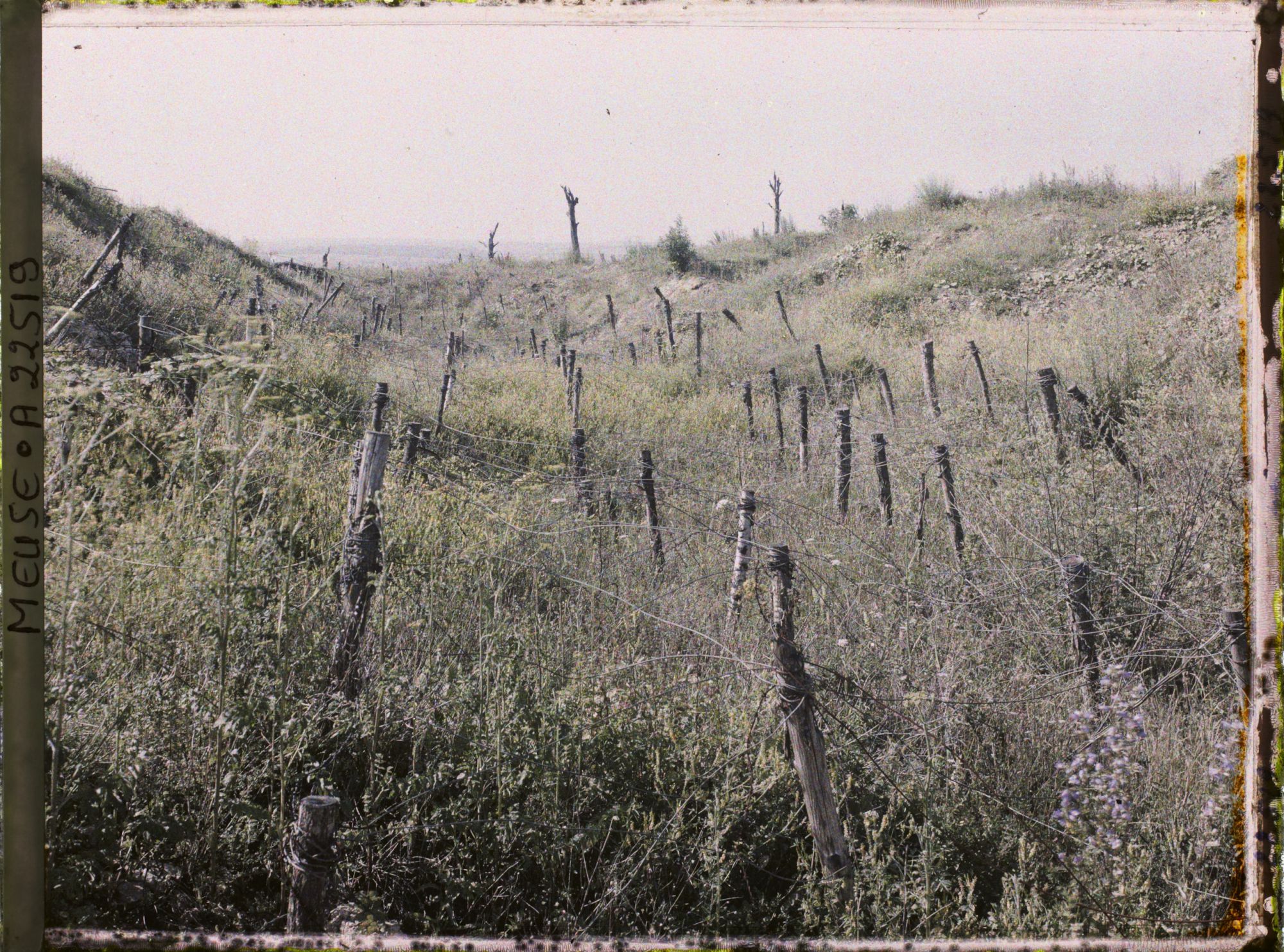 Image représentant France, Fort de Souville, Une Courtine du fort