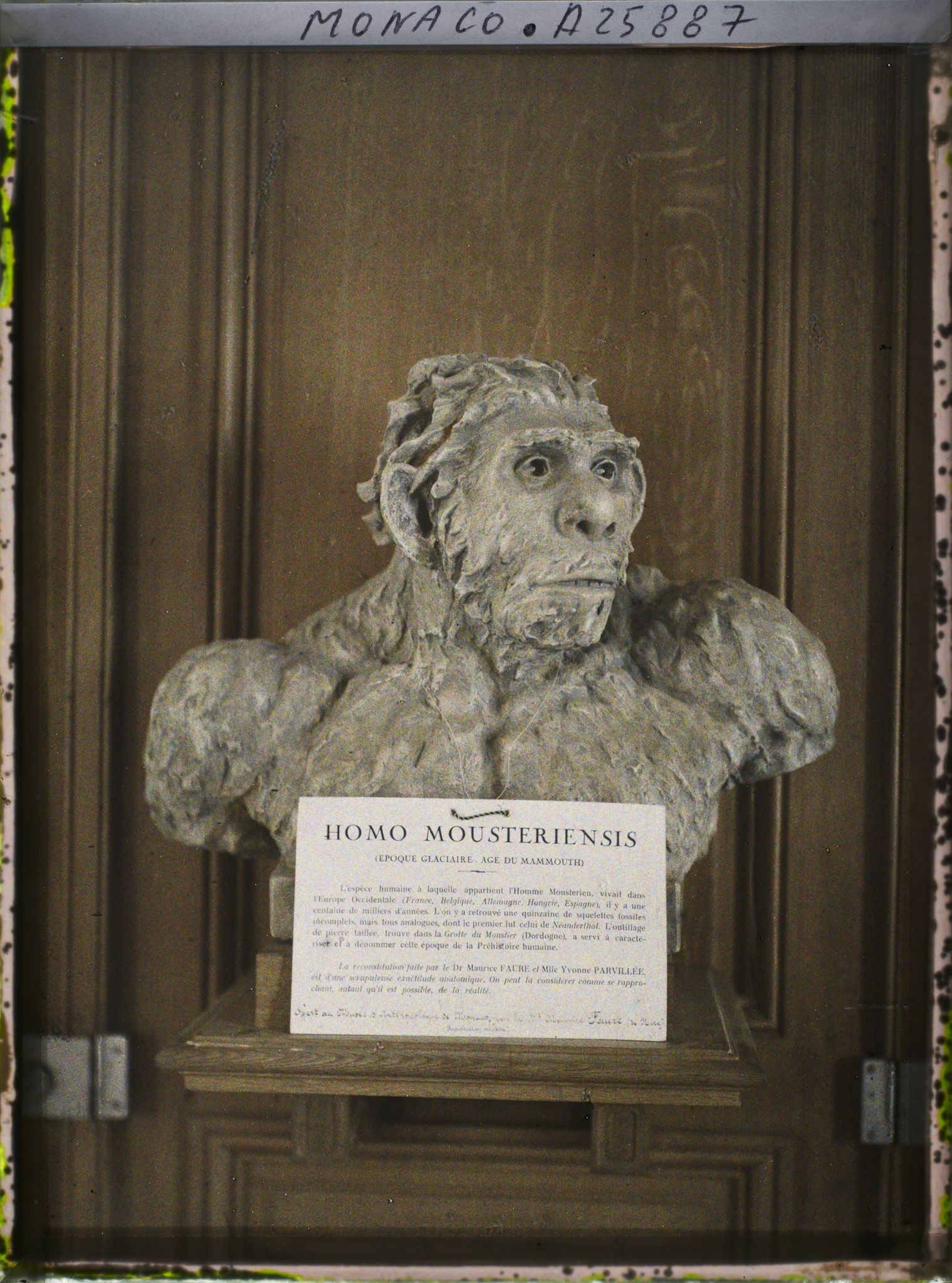 Image représentant Homo Moustériensis, Epoque Glaciaire, âgé du mammouth ; reconstitution par le Dr Maurice. Faure et Melle Yvonne Parvillée, " d'une scrupuleuse exactitude anatomique "