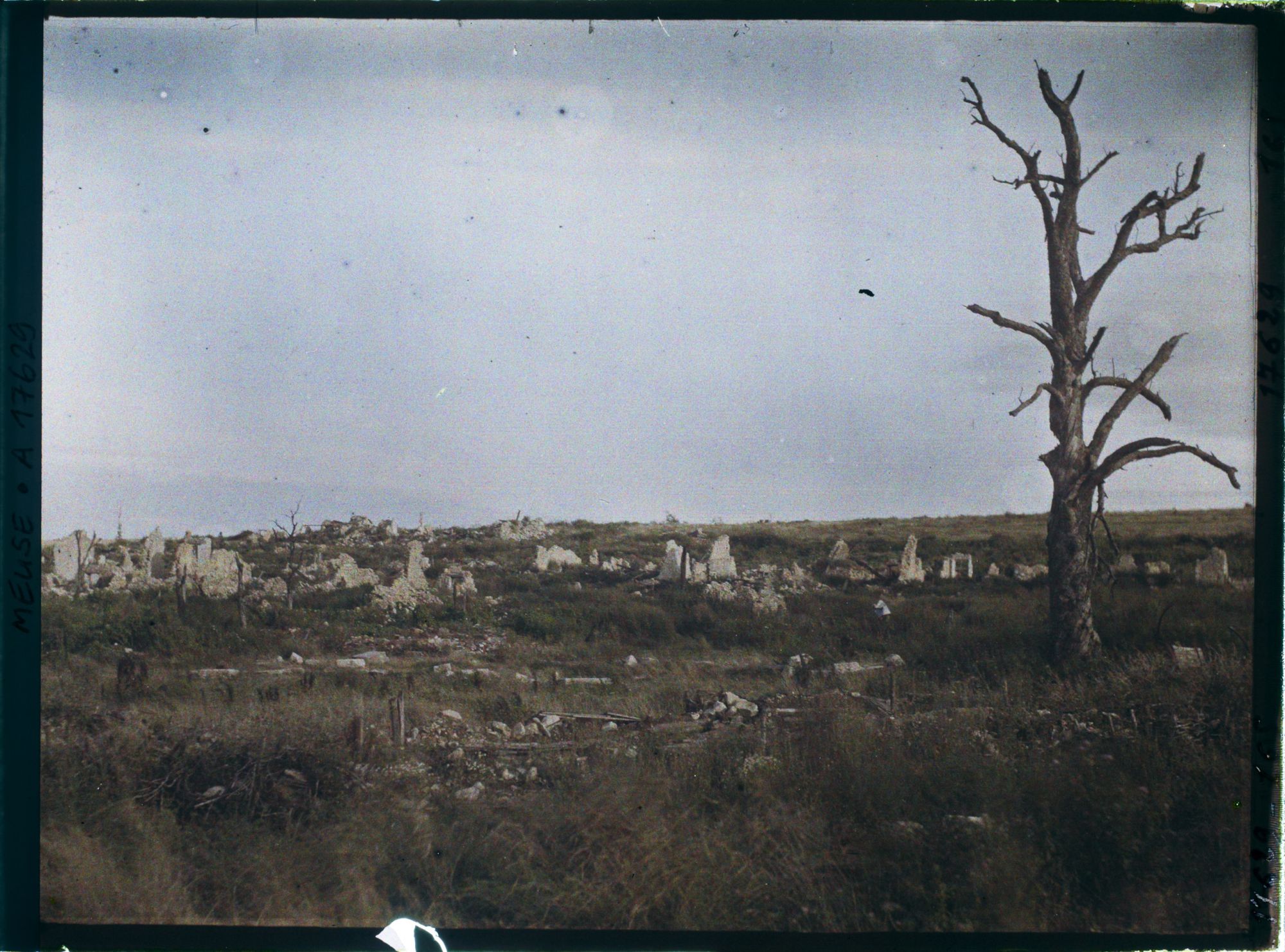 Image représentant France, Chattancourt, Vue d'ensemble