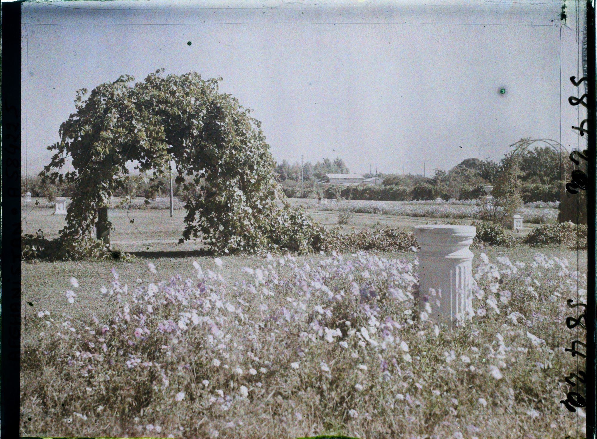Image représentant Afghanistan, Kaboul, Un coin du Jardin des affaires Etrangères