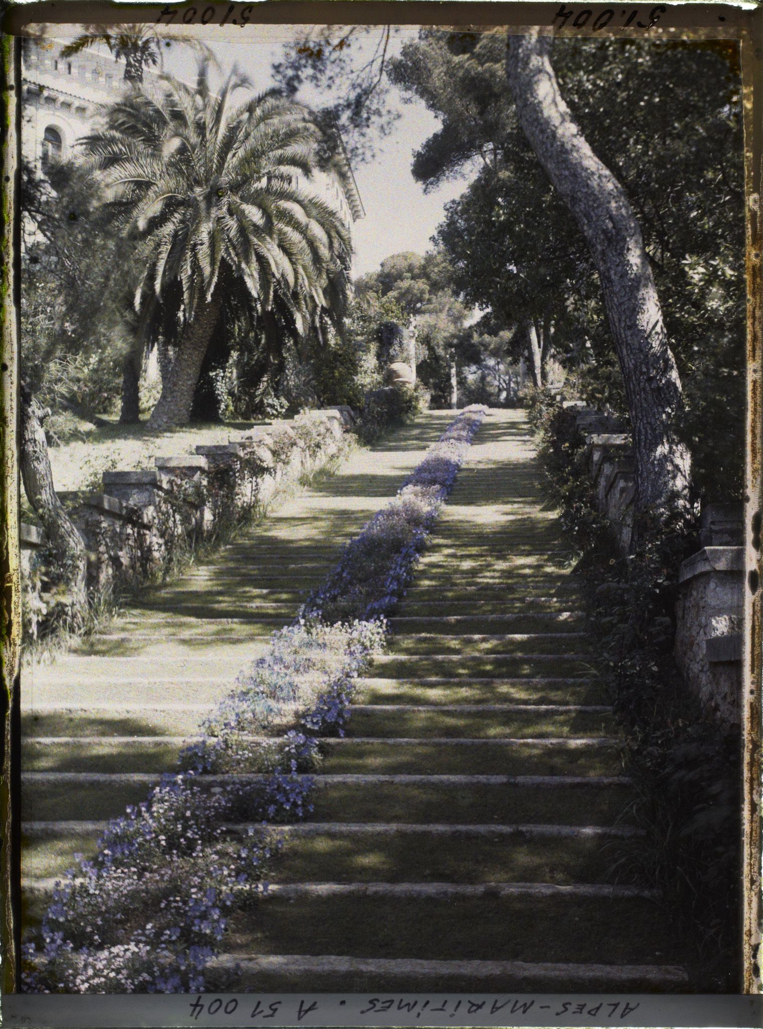 Image représentant Perpective montante sur le grand escalier fleuri du jardin de la villa Cypris