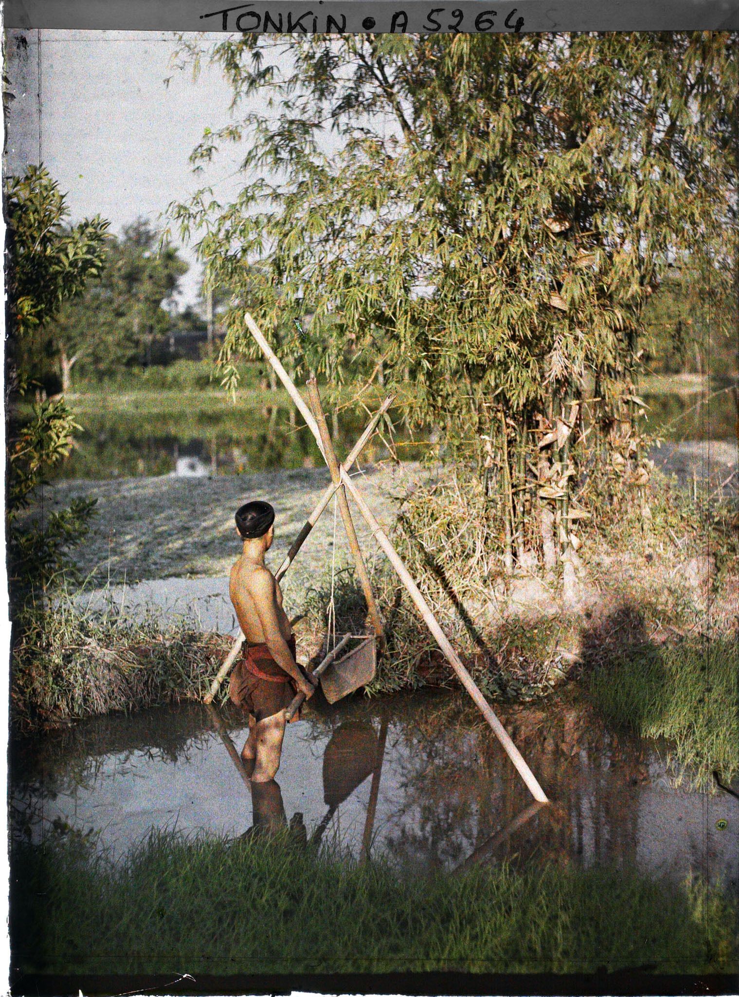 Image représentant Un seau à manche, système élévatoire d'eau pour l'irrigation du riz