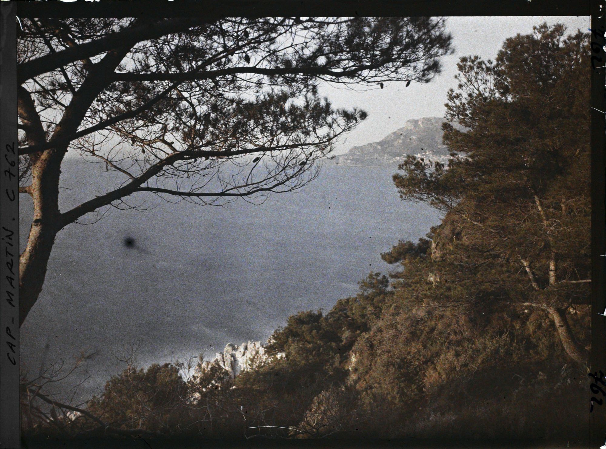 Image représentant le jardin