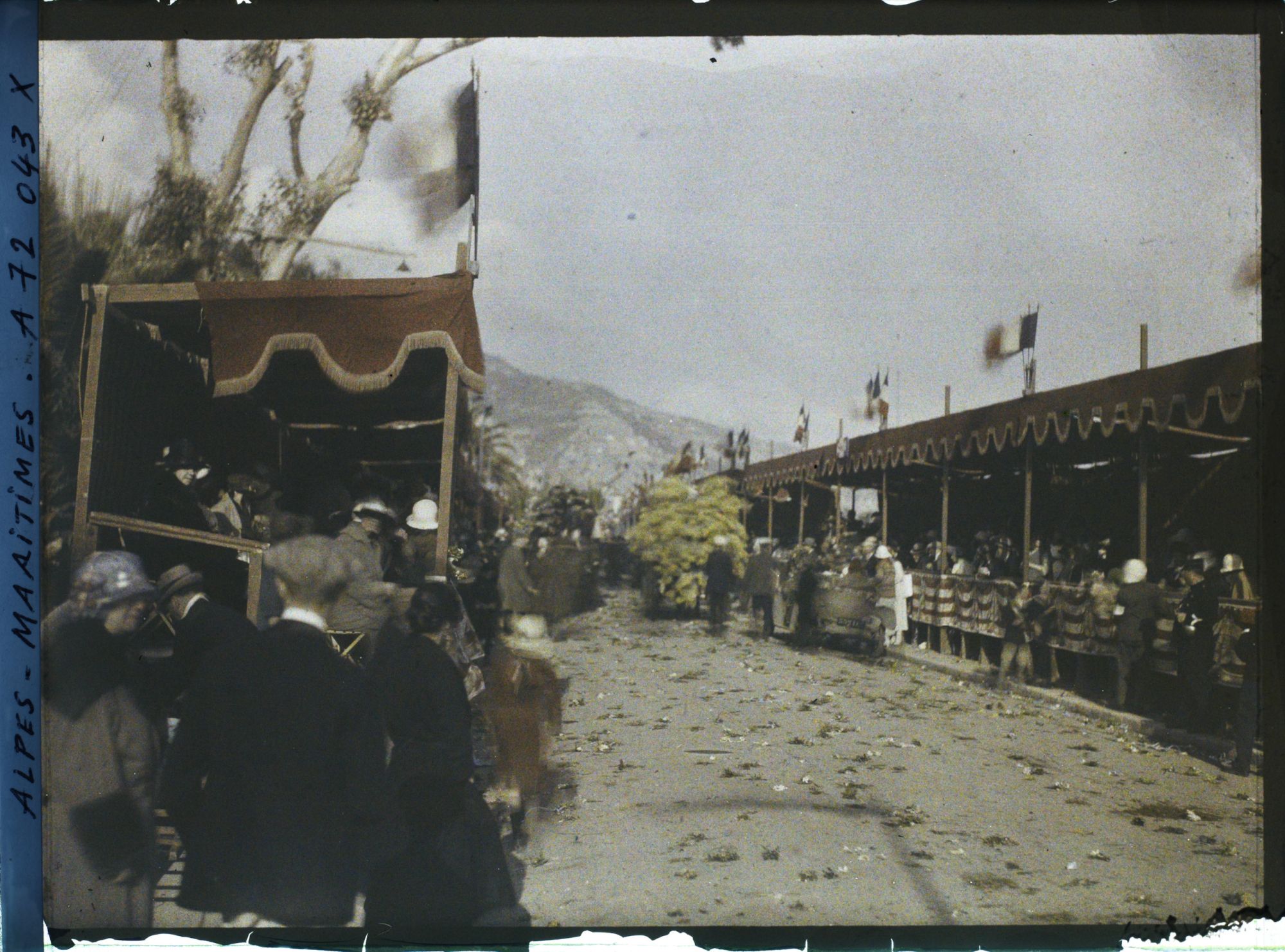 Image représentant Le carnaval, la fête des fleurs