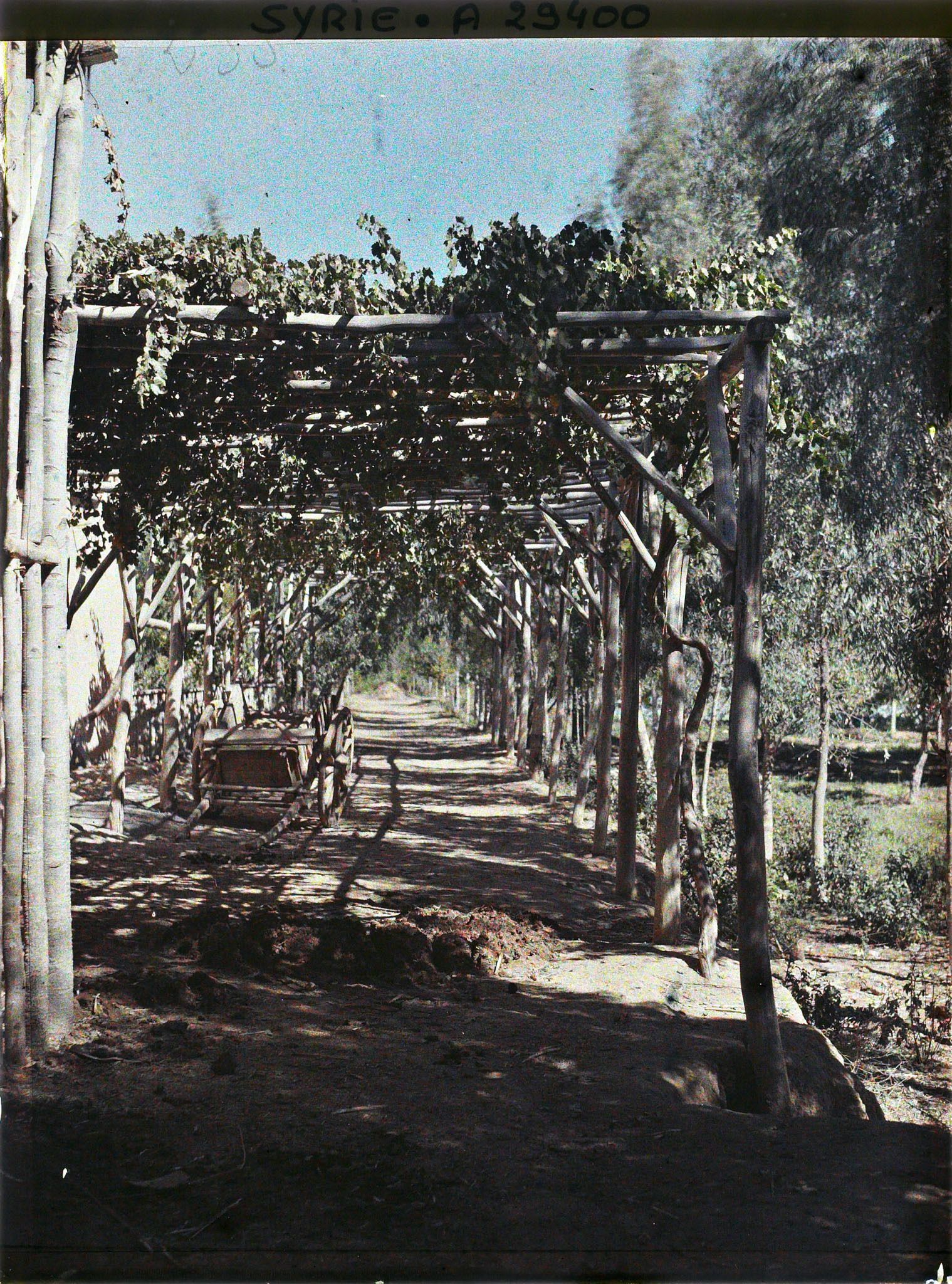 Image représentant Entrée d'une ferme