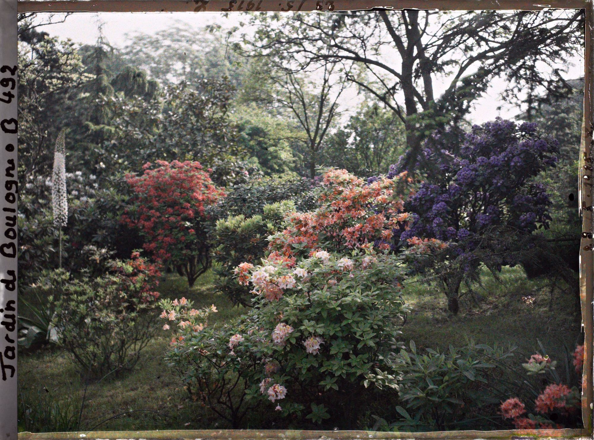 Image représentant Talus fleuri proche des " étangs " et situé au nord-est du marais