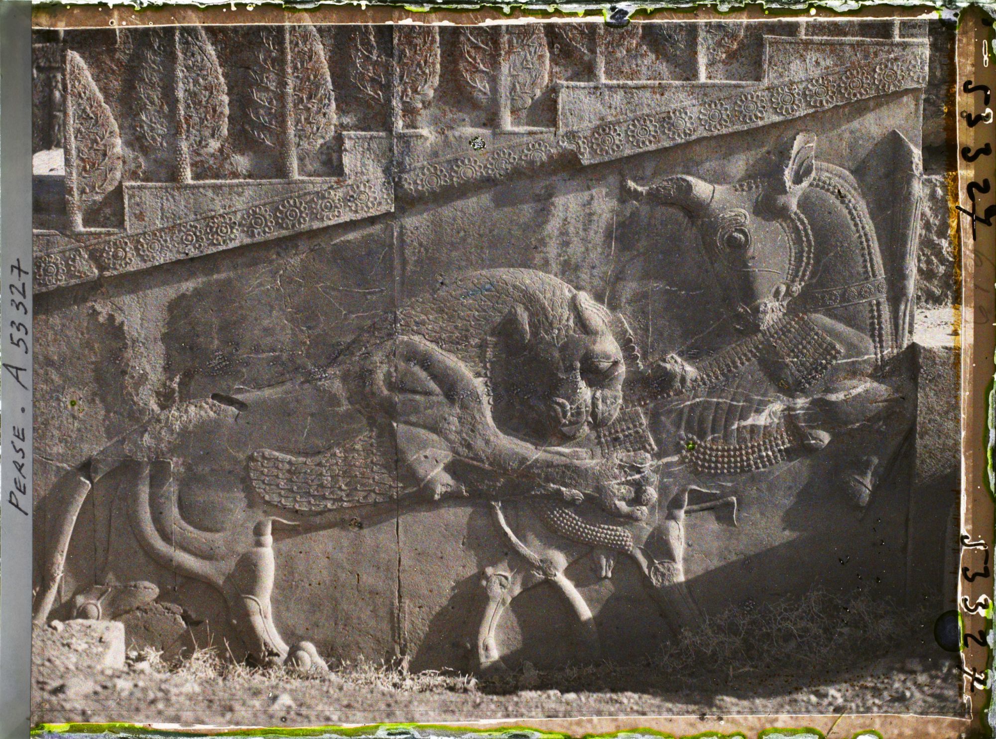 Image représentant Escalier nord de l'Apadana, combat du lion et du taureau