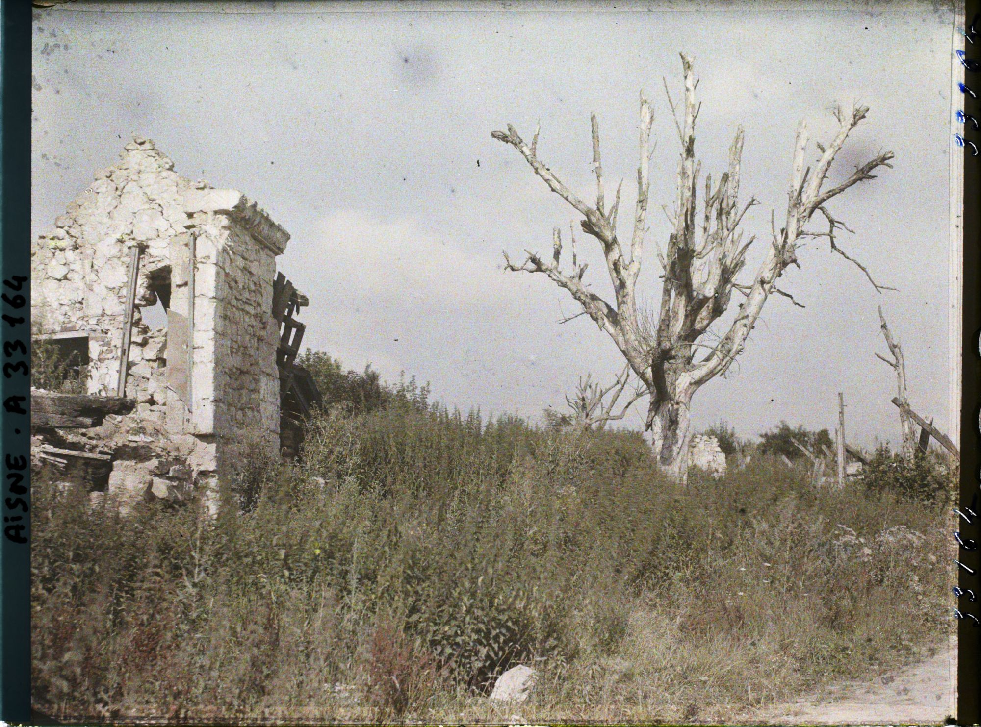 Image représentant France, Pinon, Ruines et Arbre mort