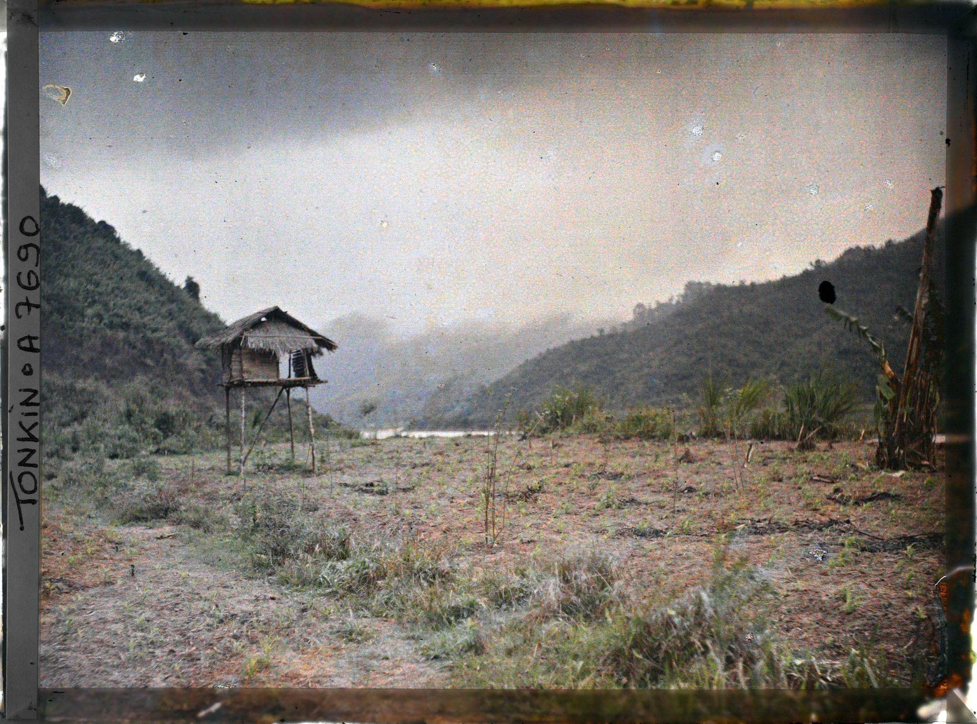 Image représentant Un abri sur pilotis dans un champ de jeunes pousses de maïs, entre Hoa-binh et Cho-Bõ