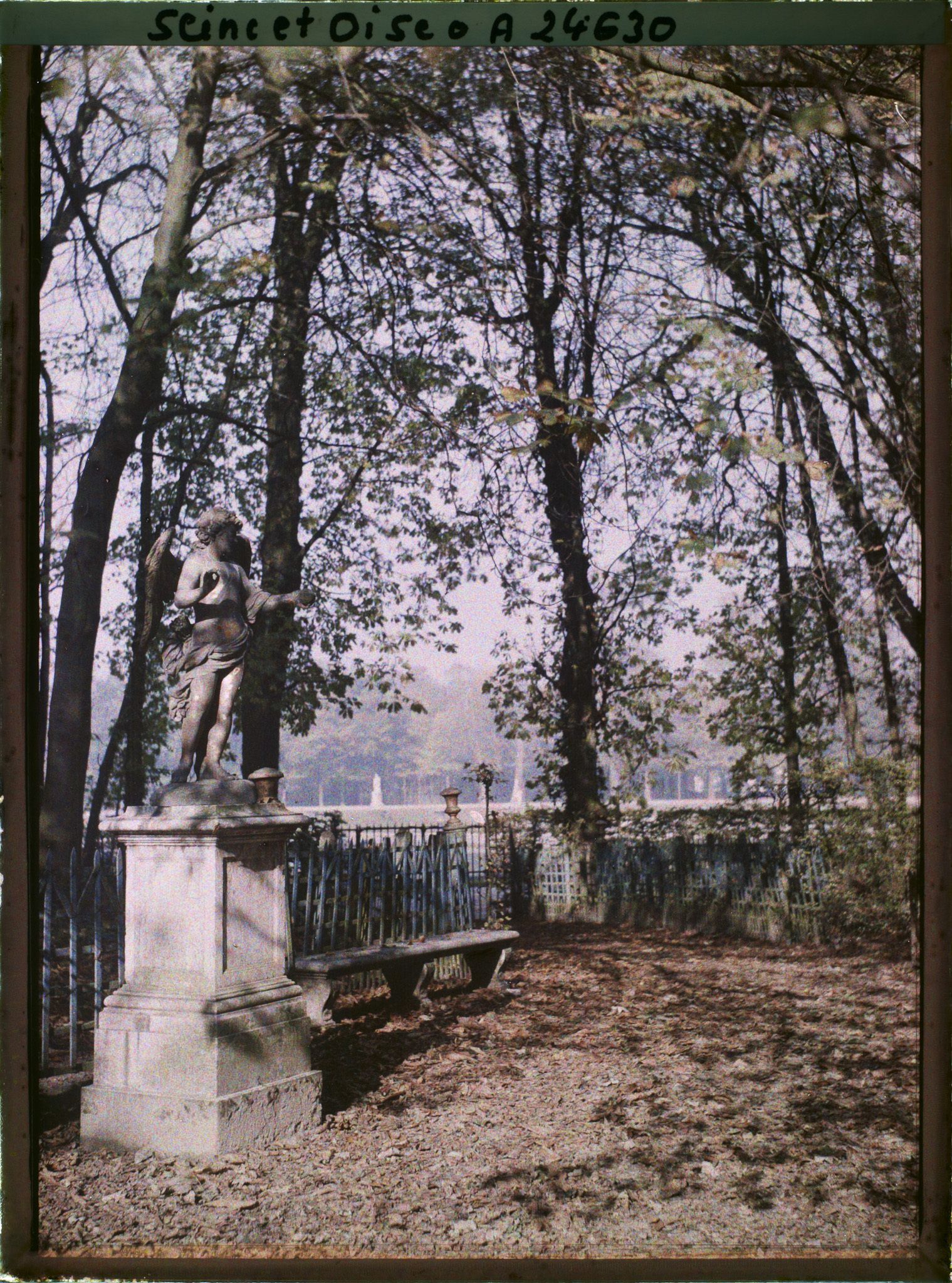 Image représentant France, Versailles, Parc de Versailles - Bosquet du Triomphe