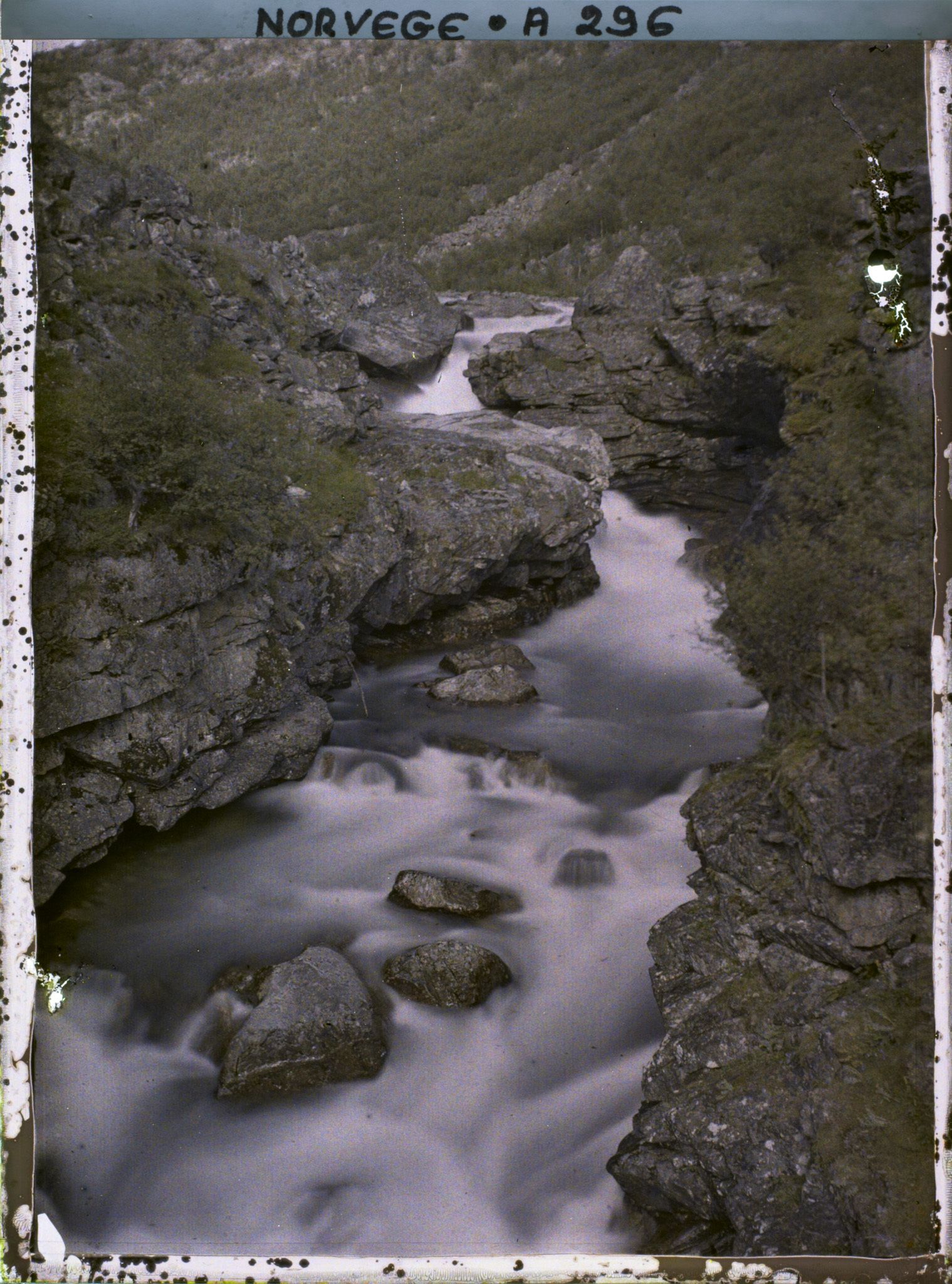 Image représentant Torrent dans la vallée
