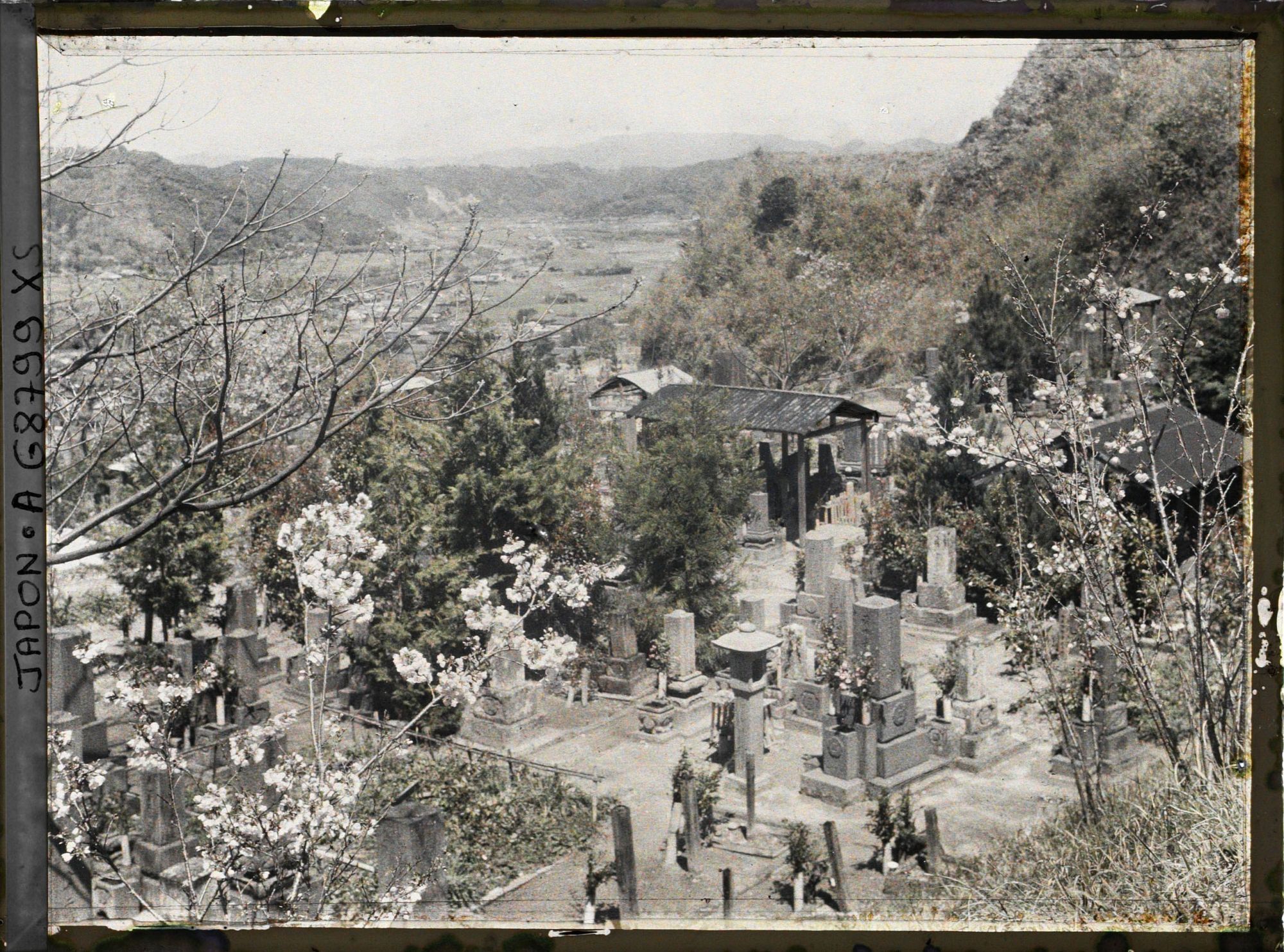 Image représentant Le cimetière (peut-être celui du quartier Kagoshimasômuta) près de la colline Shiroyama