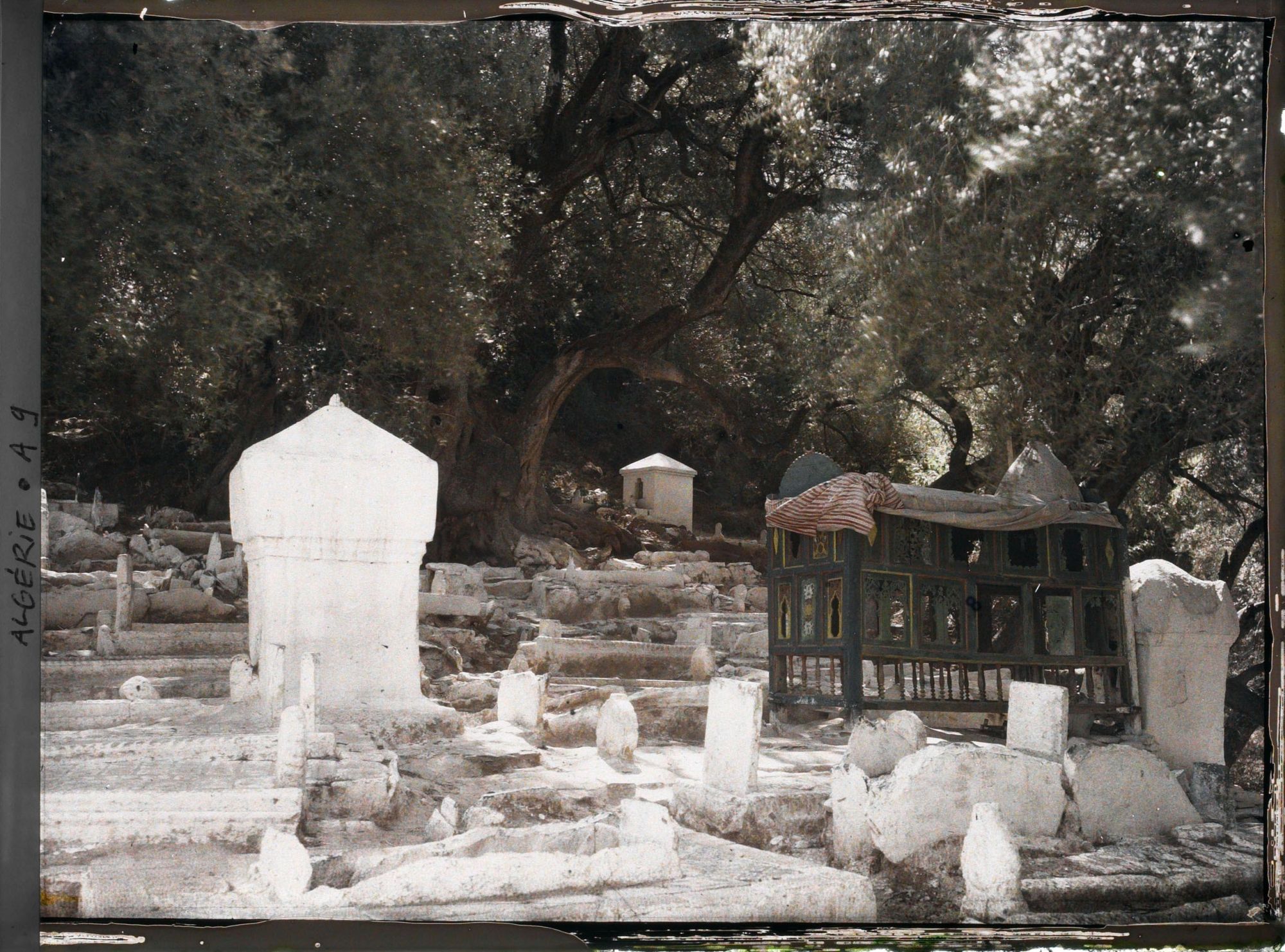 Image représentant Le cimetière El Kebir dans le bois Sacré