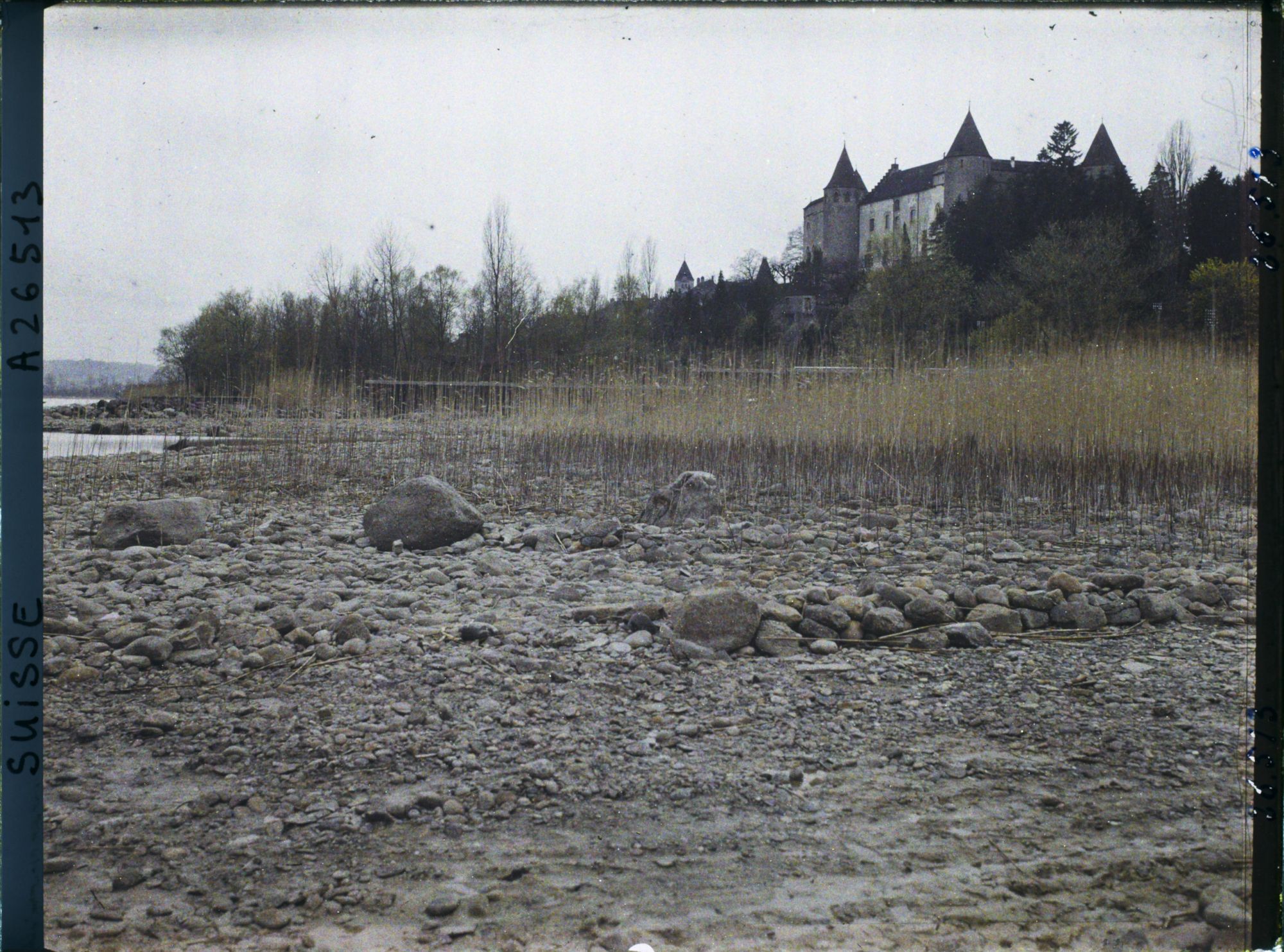 Image représentant Site palafittique préhistorique des Alpes, pieux en bois visibles lors de la baisse des eaux après la grande sécheresse de 1921. Le château de Grandson.