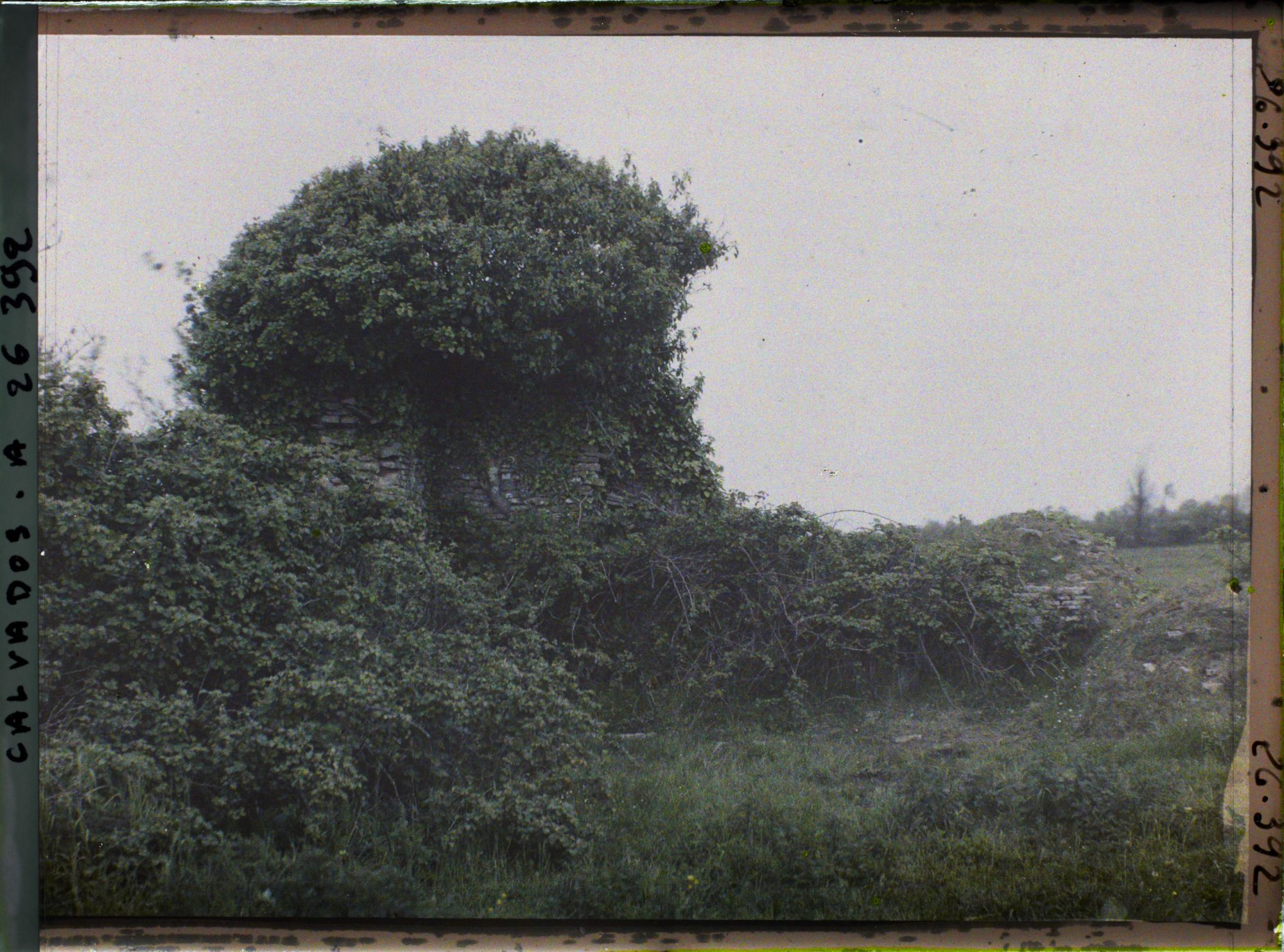 Image représentant Restes d'une tour faisant partie de l'enceinte fortifiée du château de Maisy