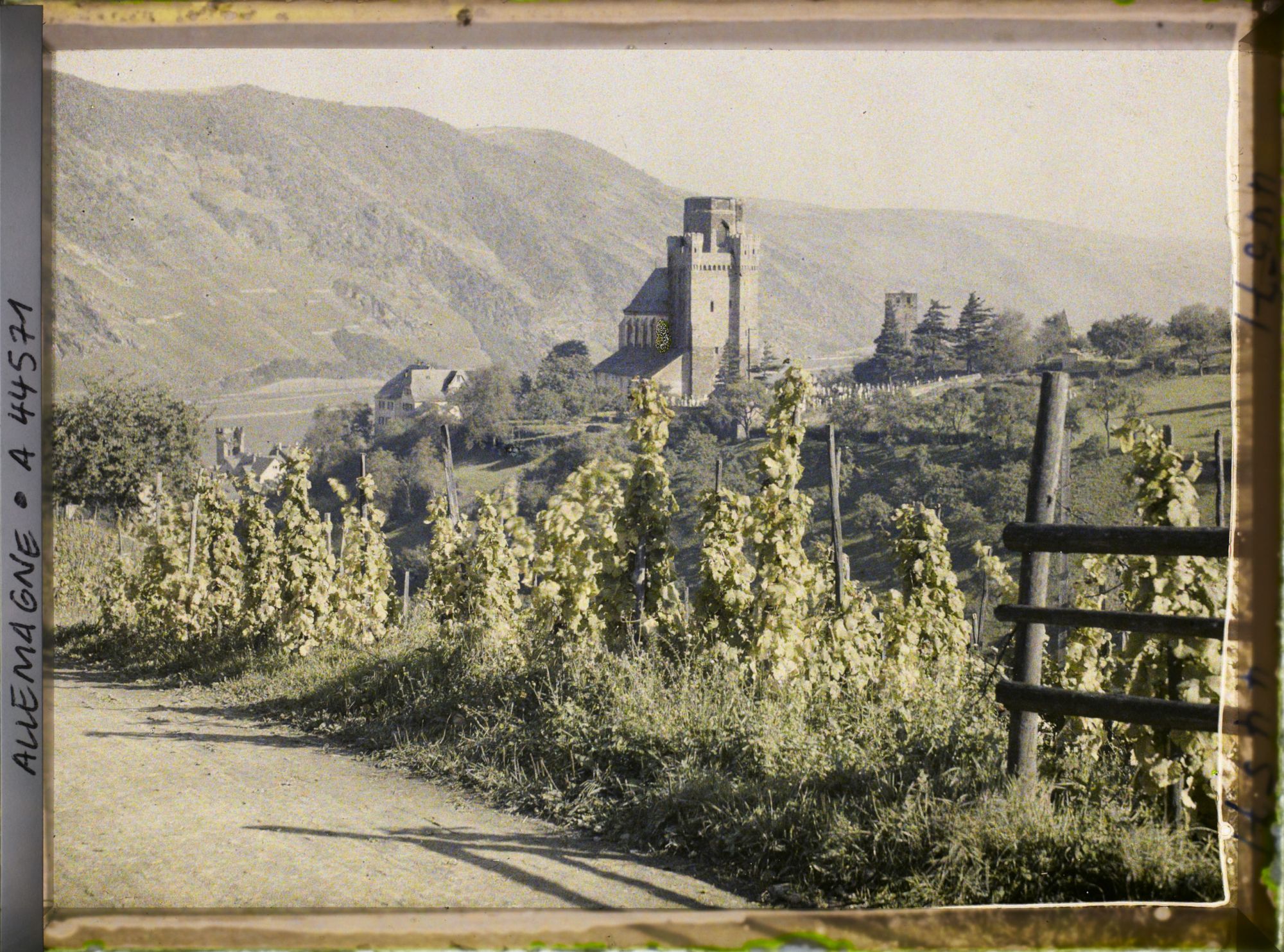 Image représentant Allemagne, Oberwesel, St Martin à travers les vignes