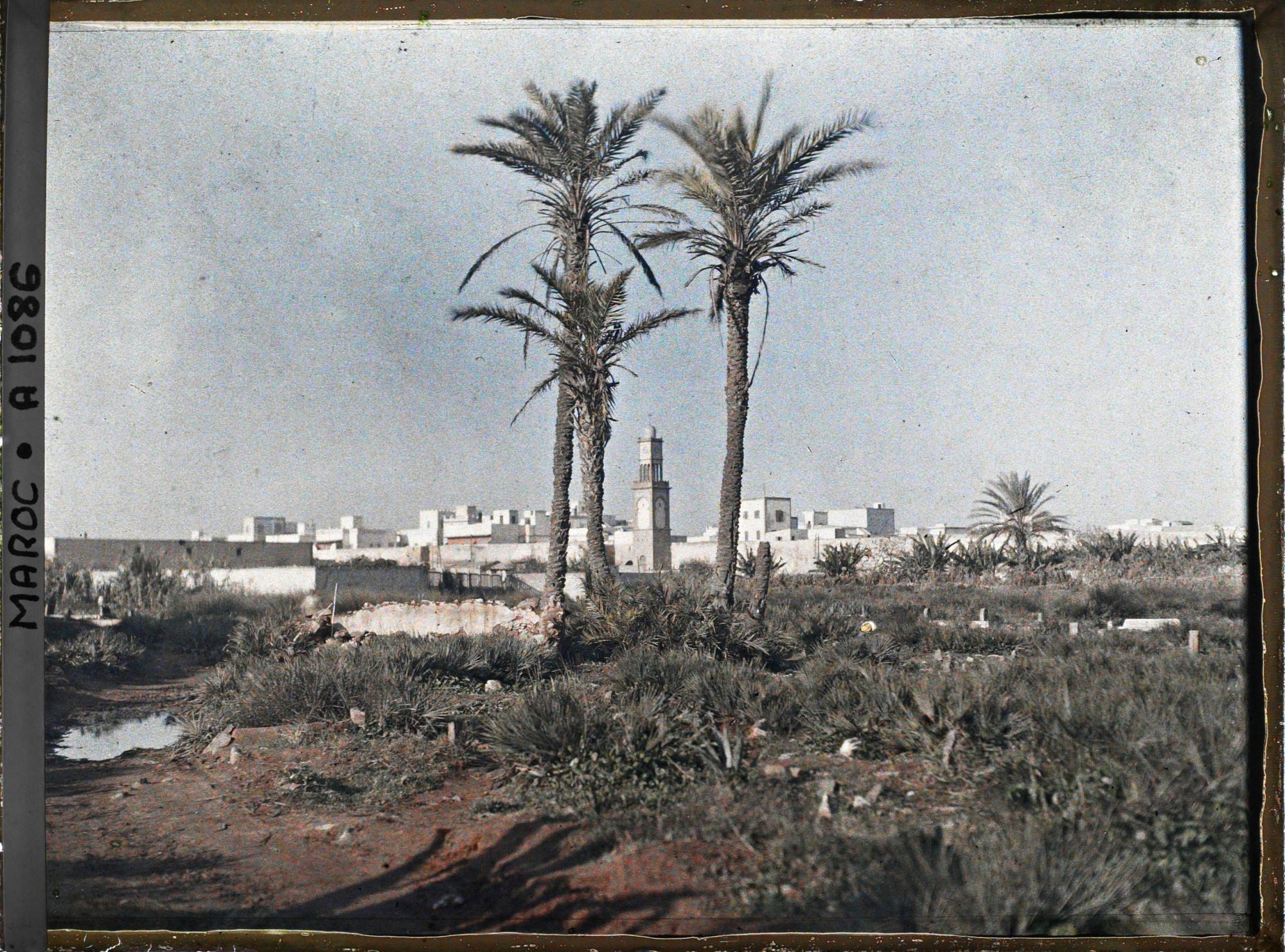 Image représentant Vue générale sur Casablanca