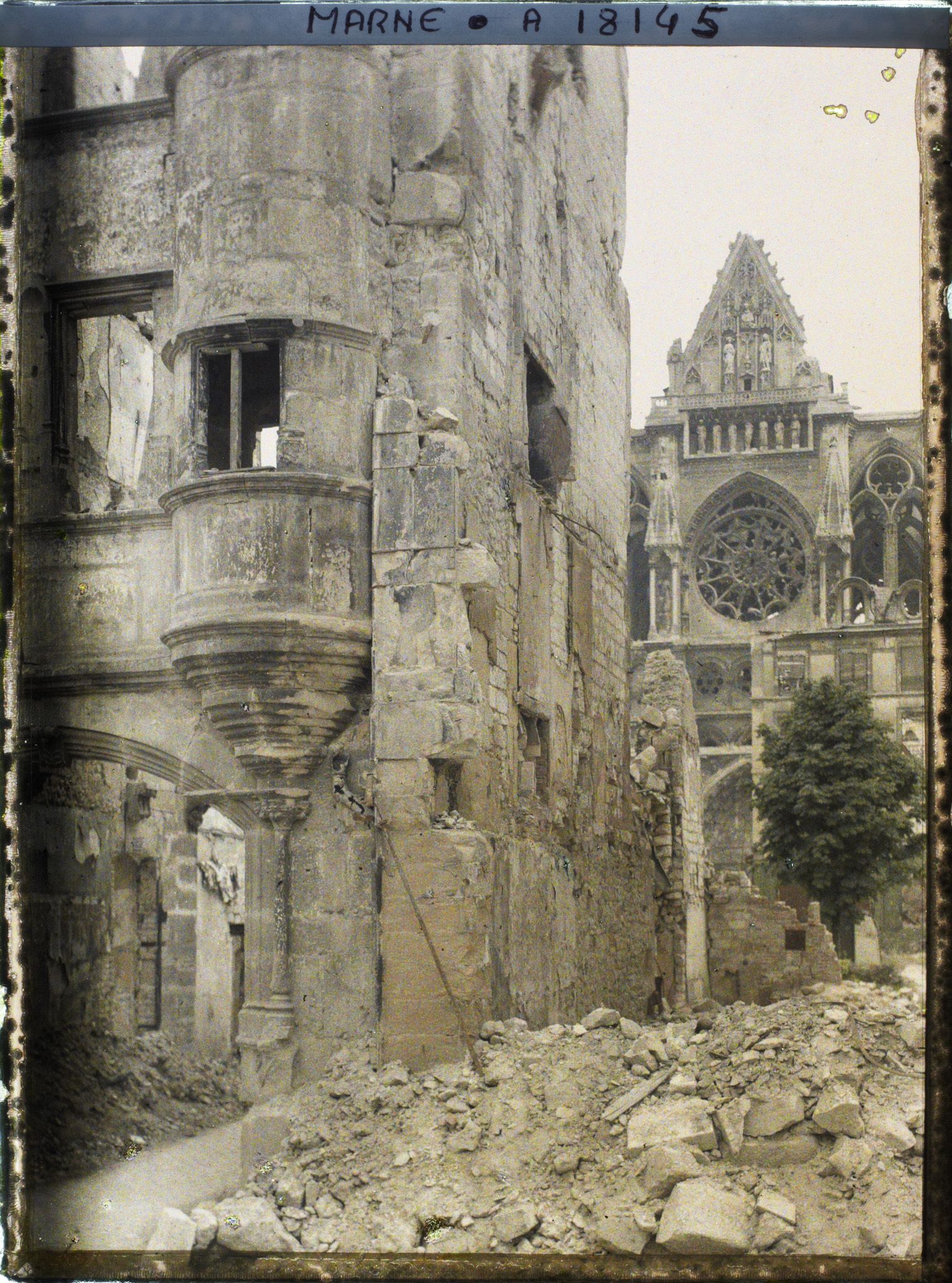 Image représentant France, Reims, Rue Carnot et Cathédrale