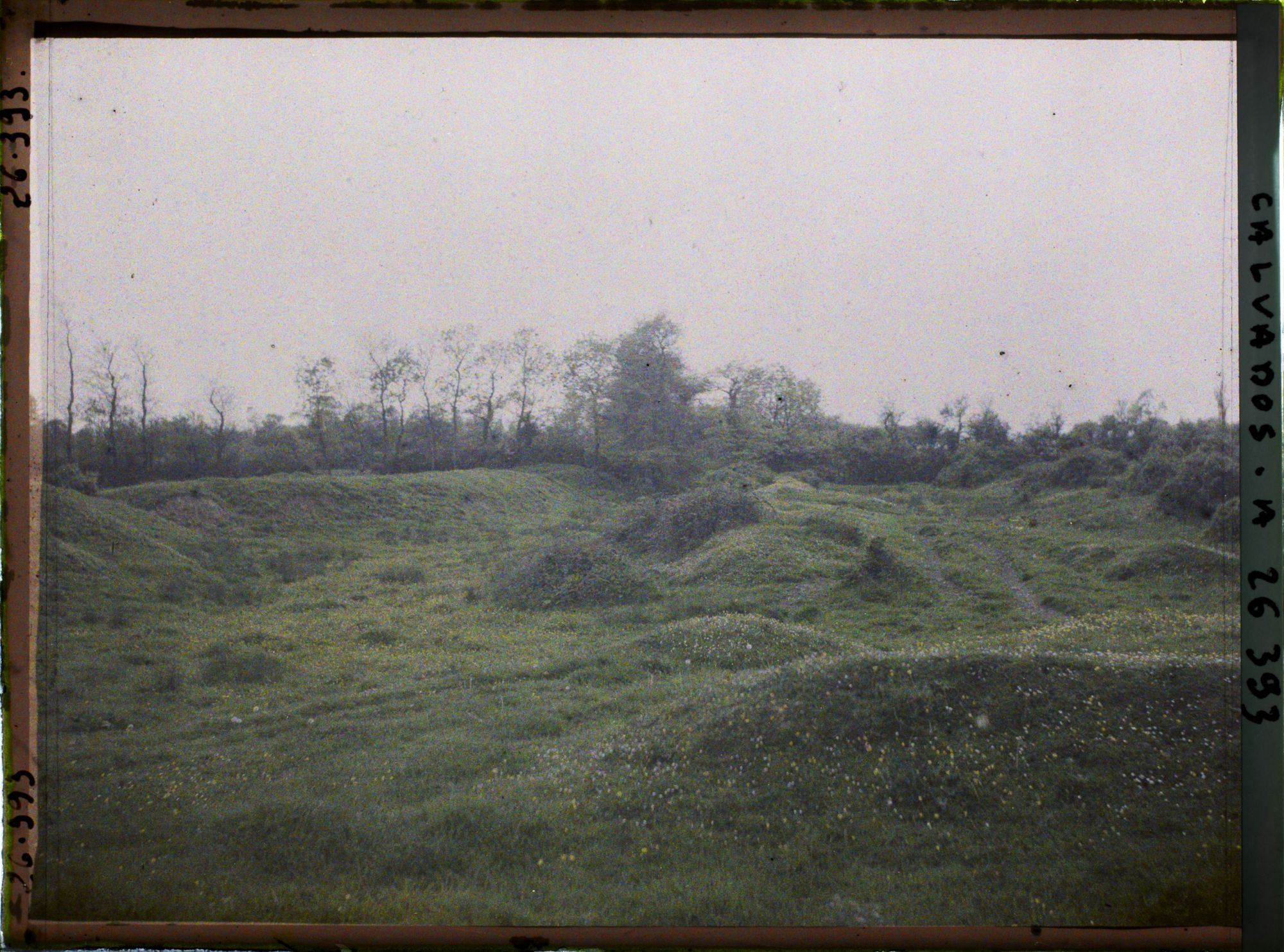 Image représentant Aspect du terrain pouvant déterminer l'emplacement des fossés doubles du château fort de Maisy