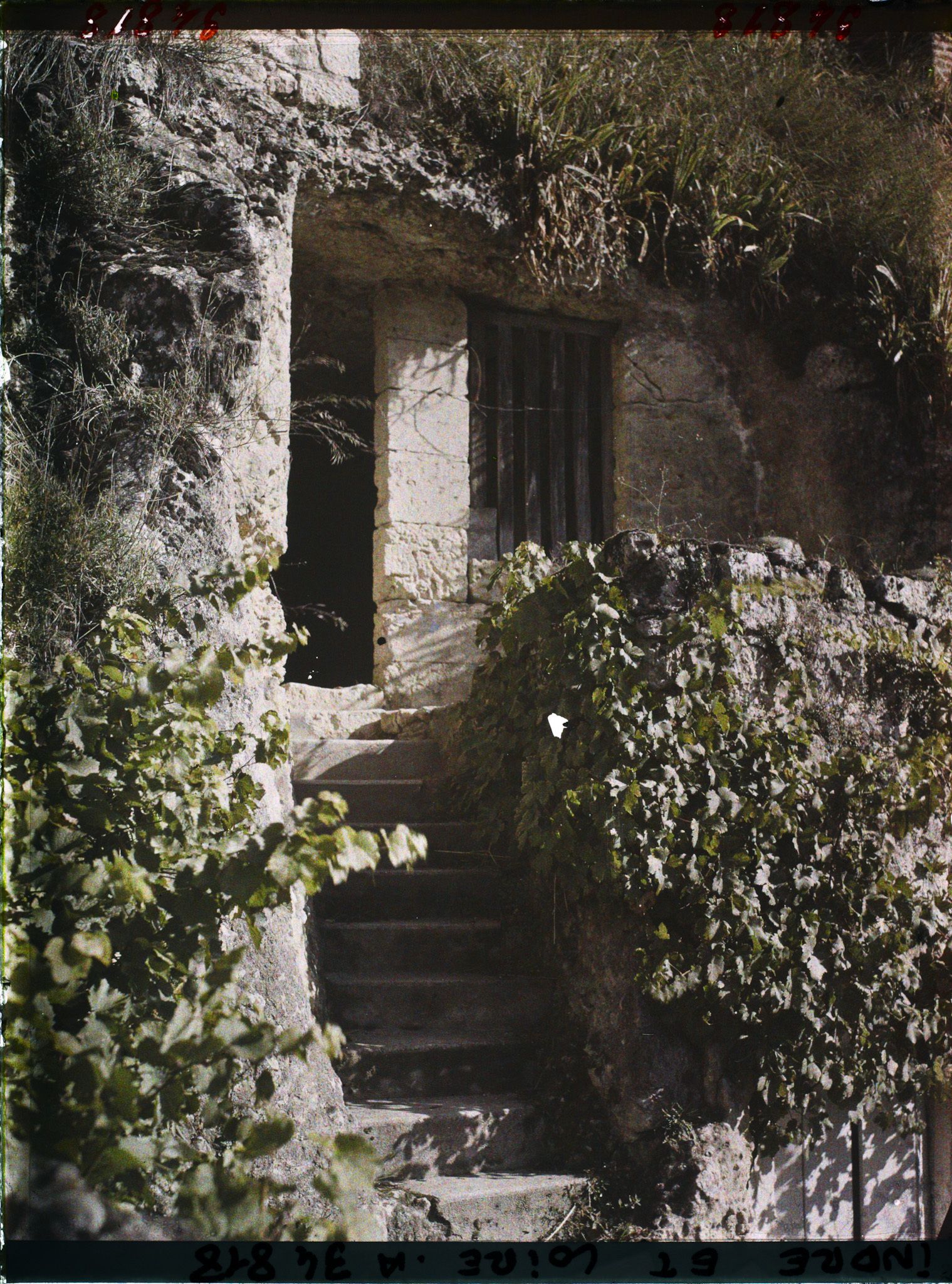 Image représentant Maison troglodyte au Petit Coteau avec son escalier taillé dans le roc
