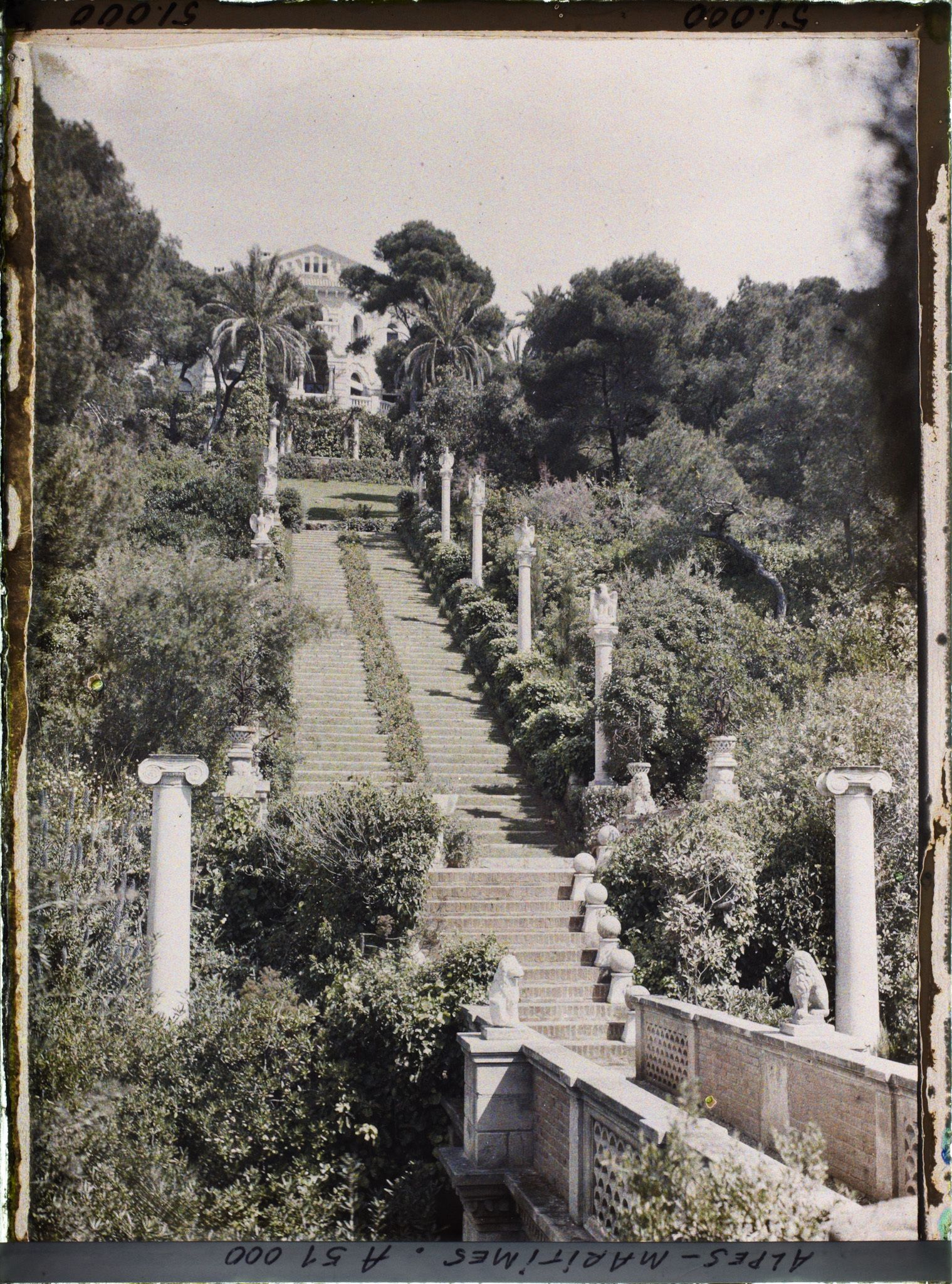 Image représentant La villa Cypris dominant le grand escalier fleuri du jardin ponctué de sculptures et la passerelle