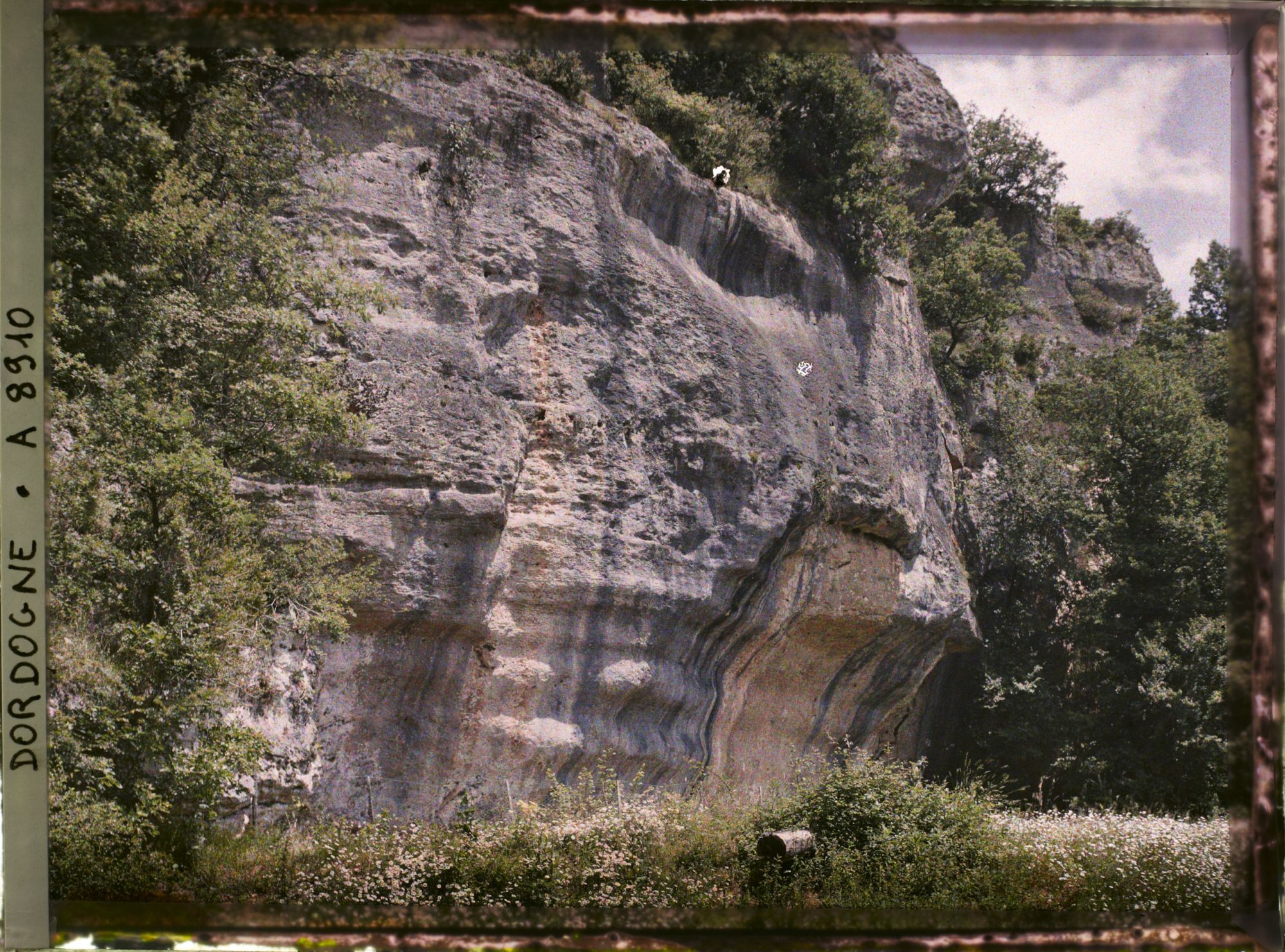 Image représentant Grotte de la Madeleine