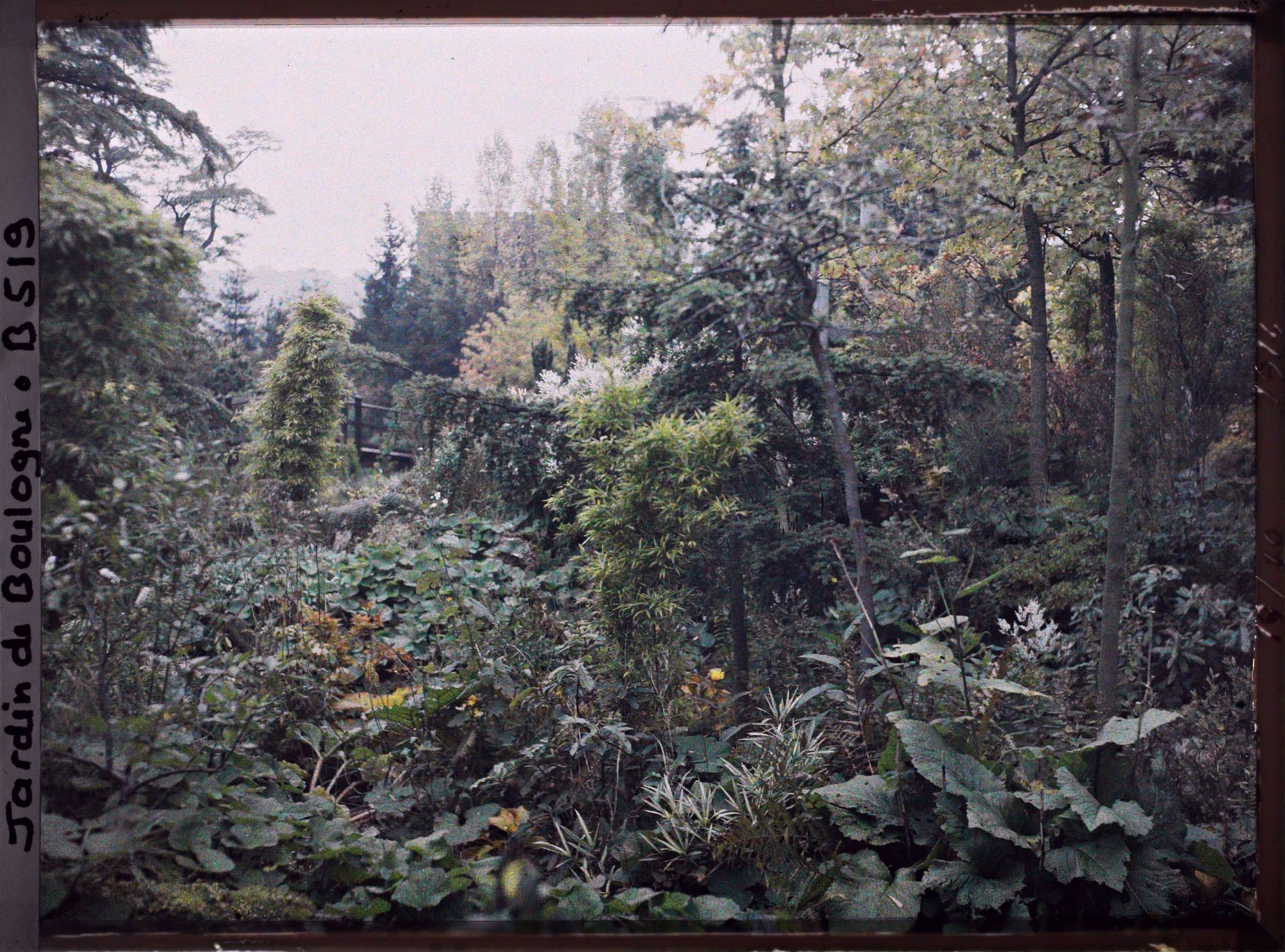 Image représentant Coulée de verdure et pont du " sanctuaire japonais " situés à gauche d'un chemin menant au sôrintô