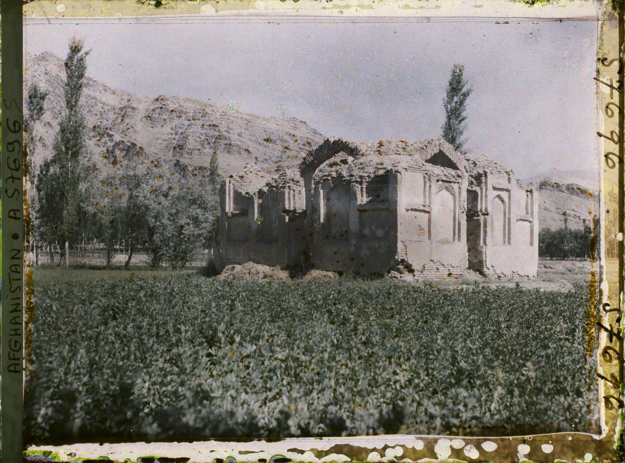 Image représentant Tombeau du début du XVIIe s. ap. J.-C. (vers 1619)