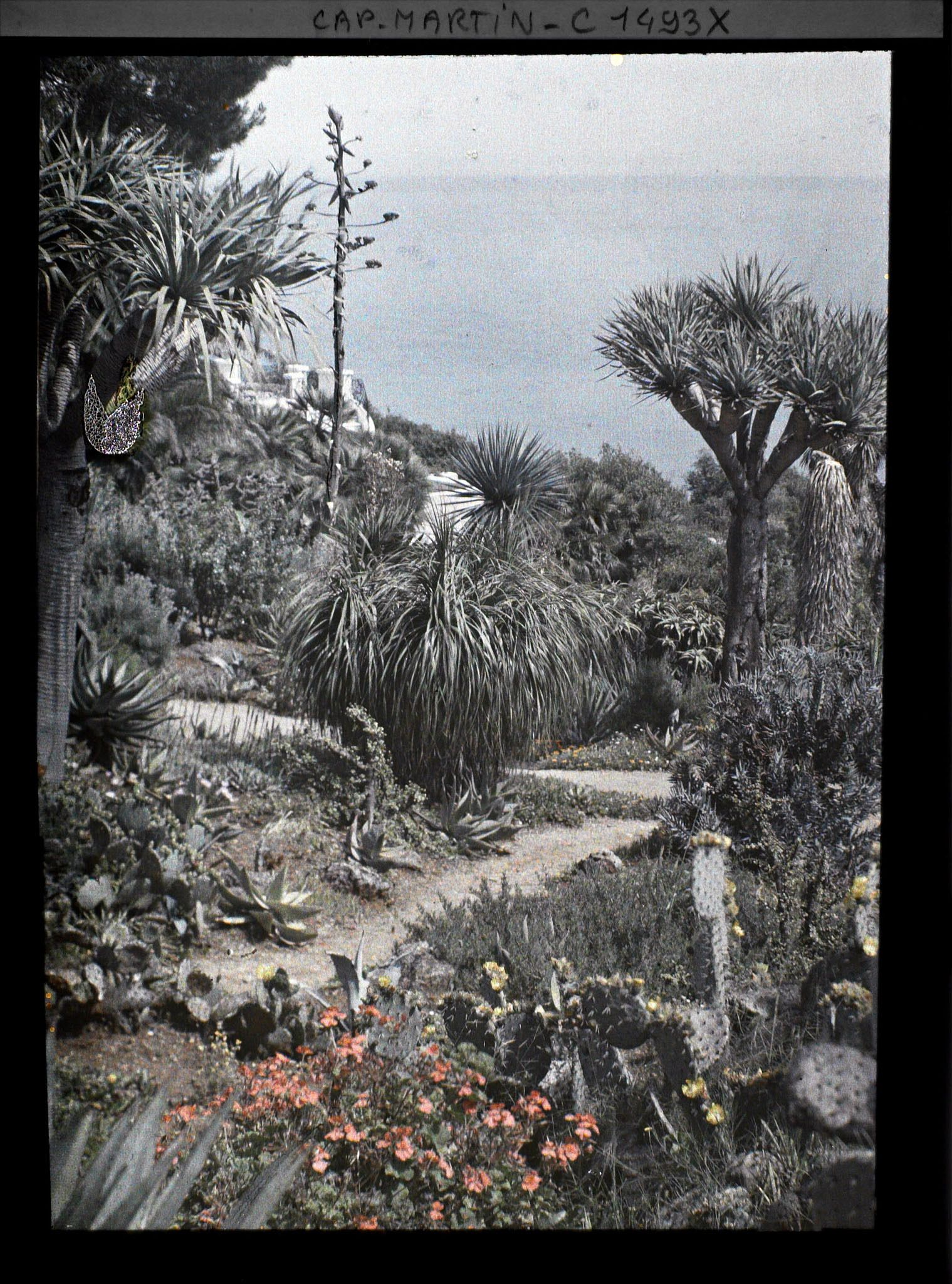 Image représentant Villa Kahn - le jardin et la terrasse de la villa à l'arrière-plan