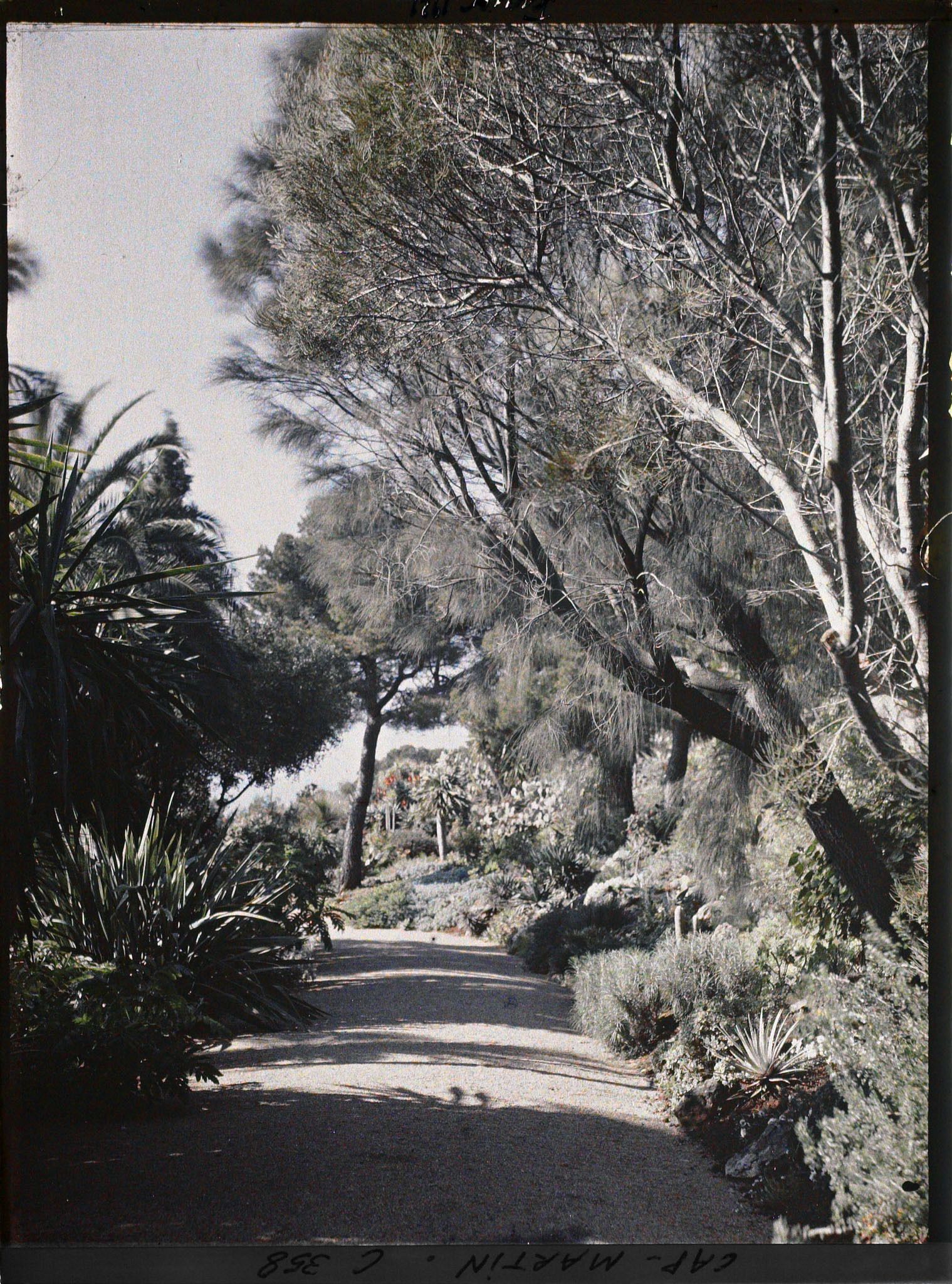 Image représentant Une allée du jardin