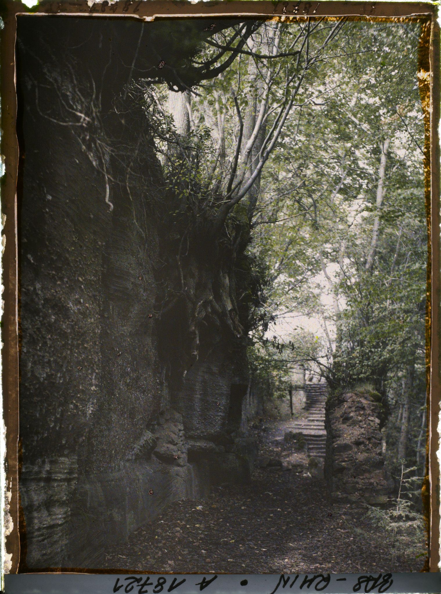 Image représentant France, Ste Odile, Le mur païen près du couvent