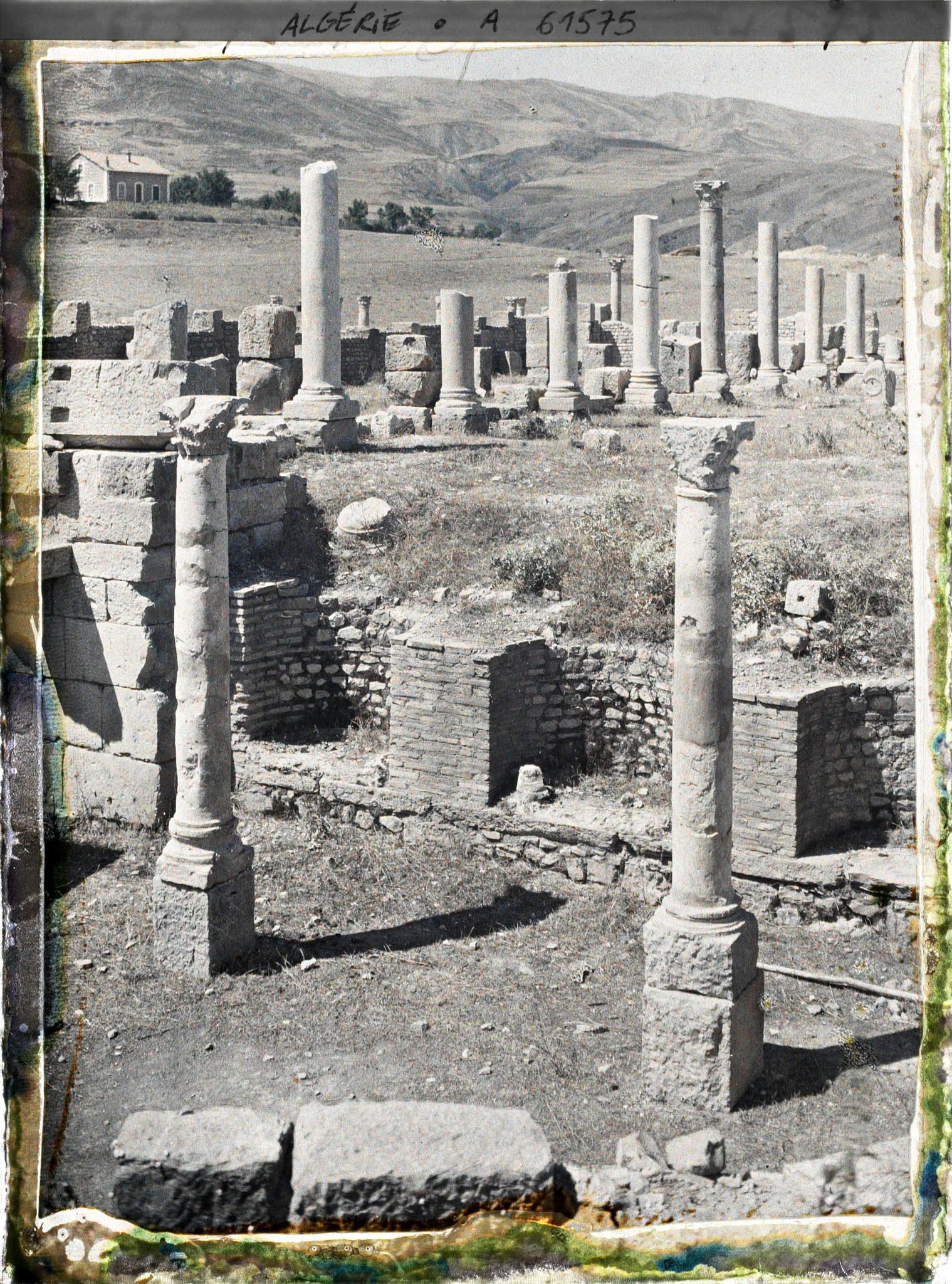 Image représentant Algérie, Djemila, Grande Basilique de Crescorius (Ve S.) la crypte