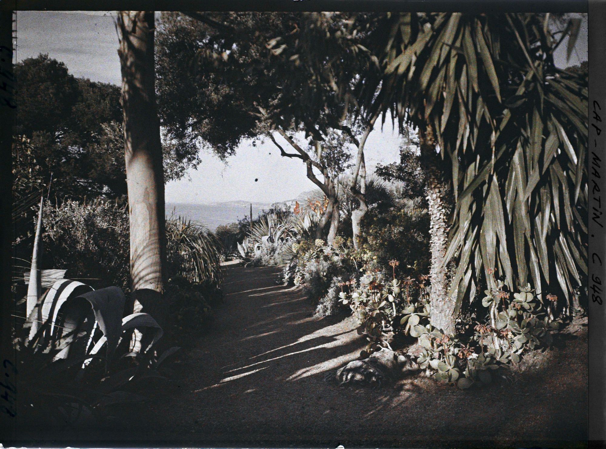 Image représentant Le Jardin (matin)