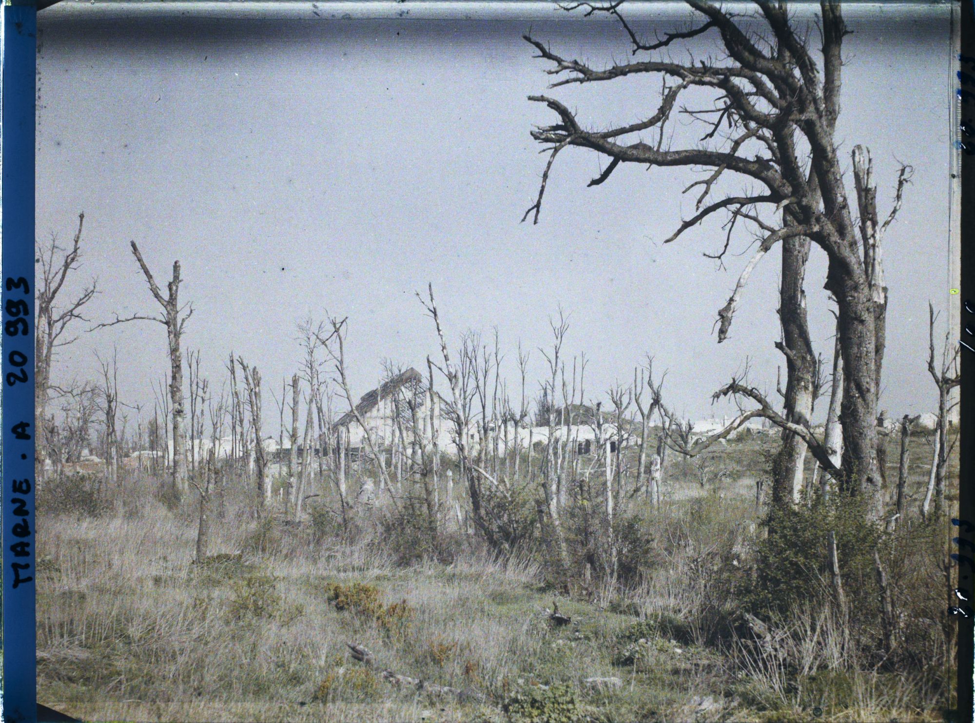 Image représentant France, Loivre, Vue vers la Verrerie