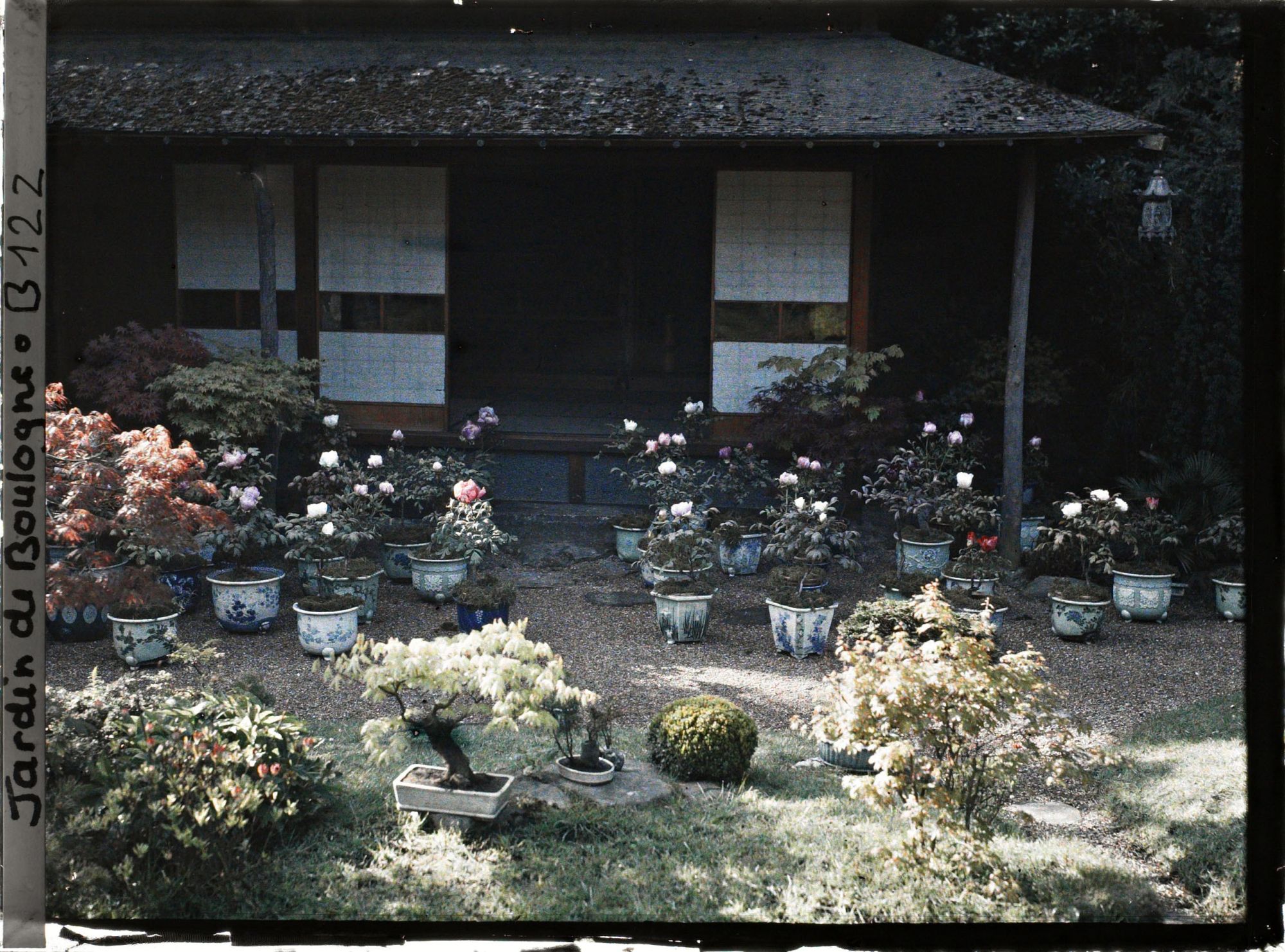 Image représentant Maison est du " village japonais ", ornée de pivoines en pots fleuries et de bonsaïs d'érables