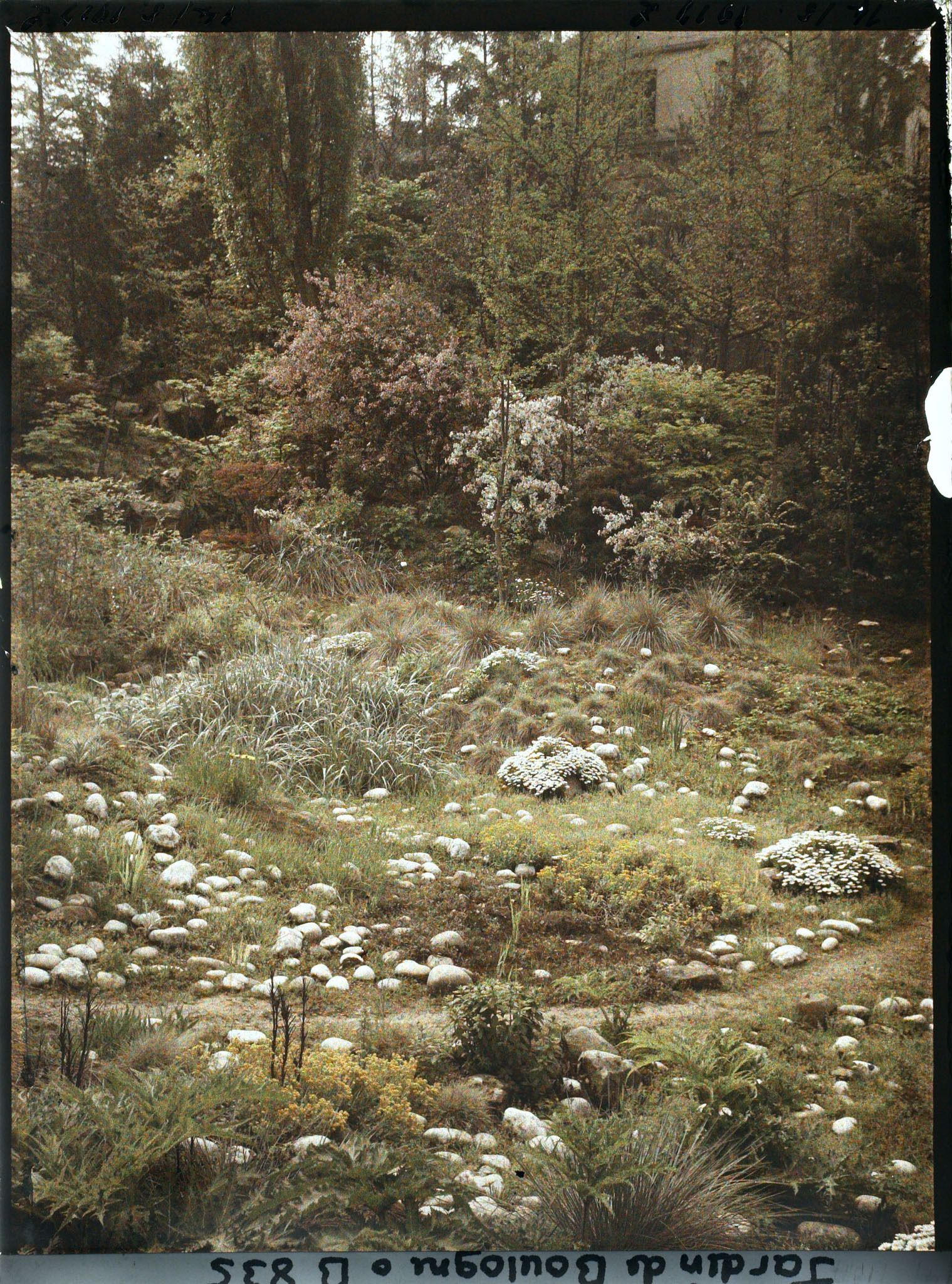 Image représentant Espace pierreux dégagé, au pied d'un vallon du " jardin chinois " proche du " sanctuaire japonais "