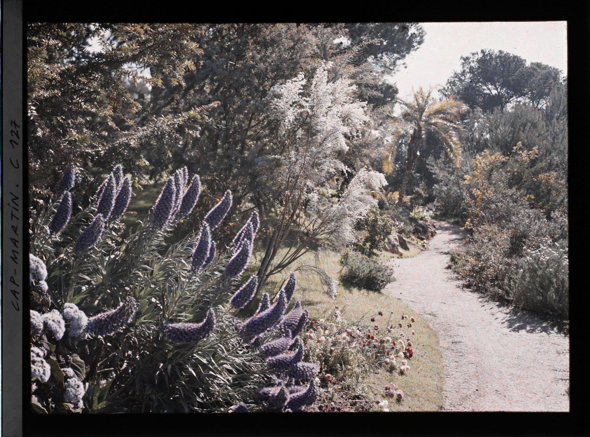 Image représentant Le jardin