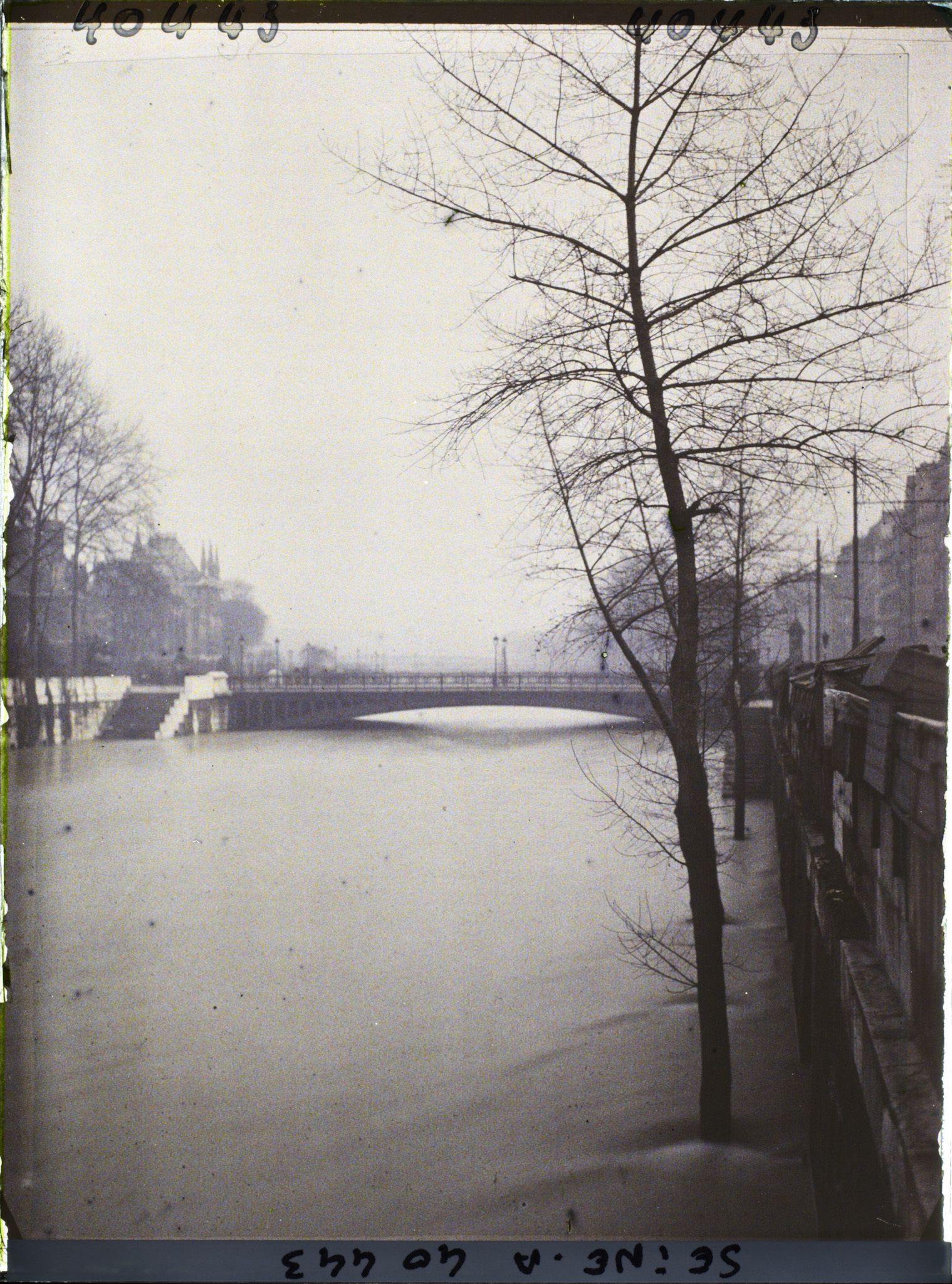 Image représentant La crue de la Seine au pont Notre-Dame