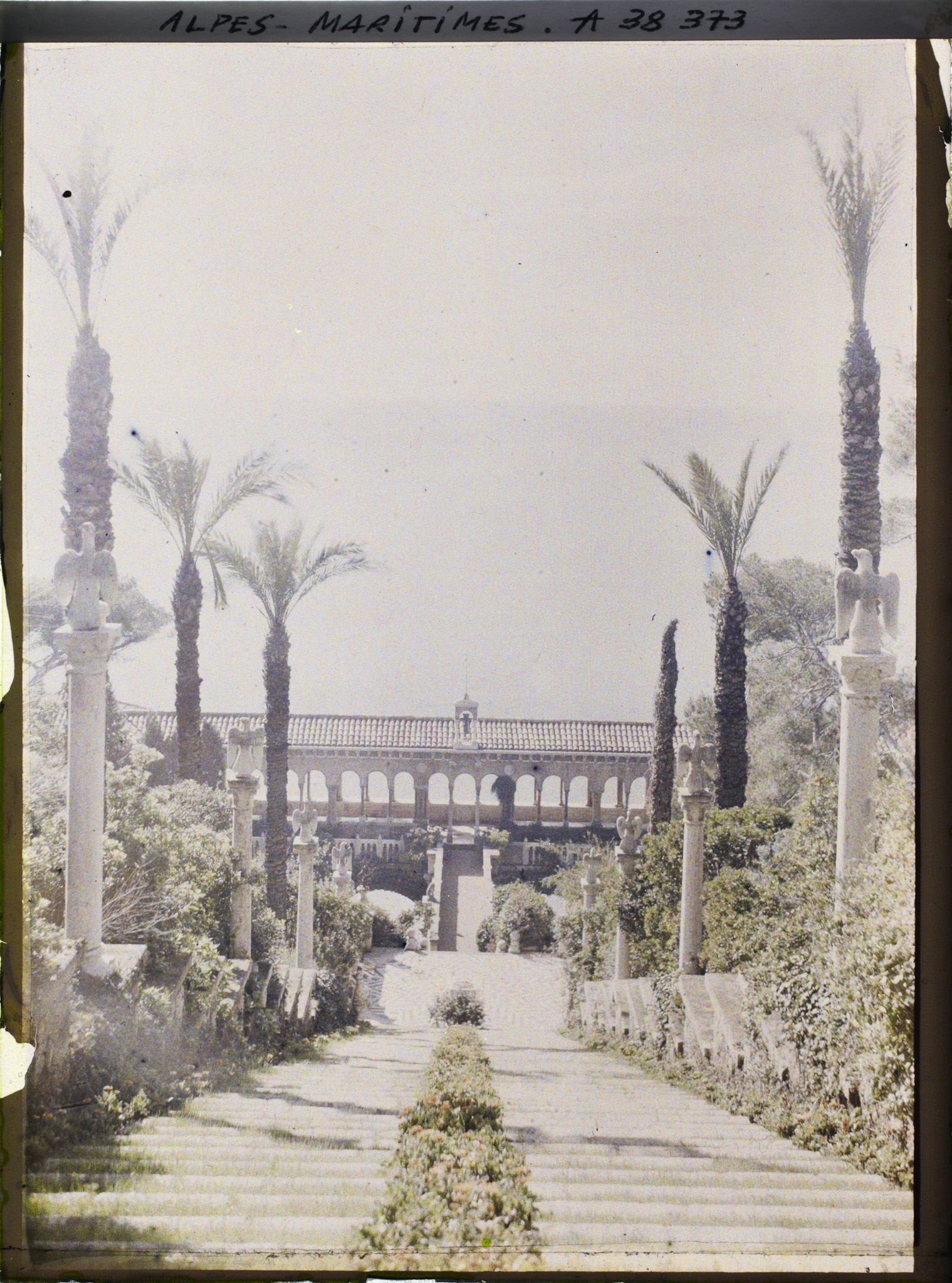 Image représentant Vue plongeante sur le grand escalier fleuri et la galerie dominant la mer, du jardin de la villa Cypris