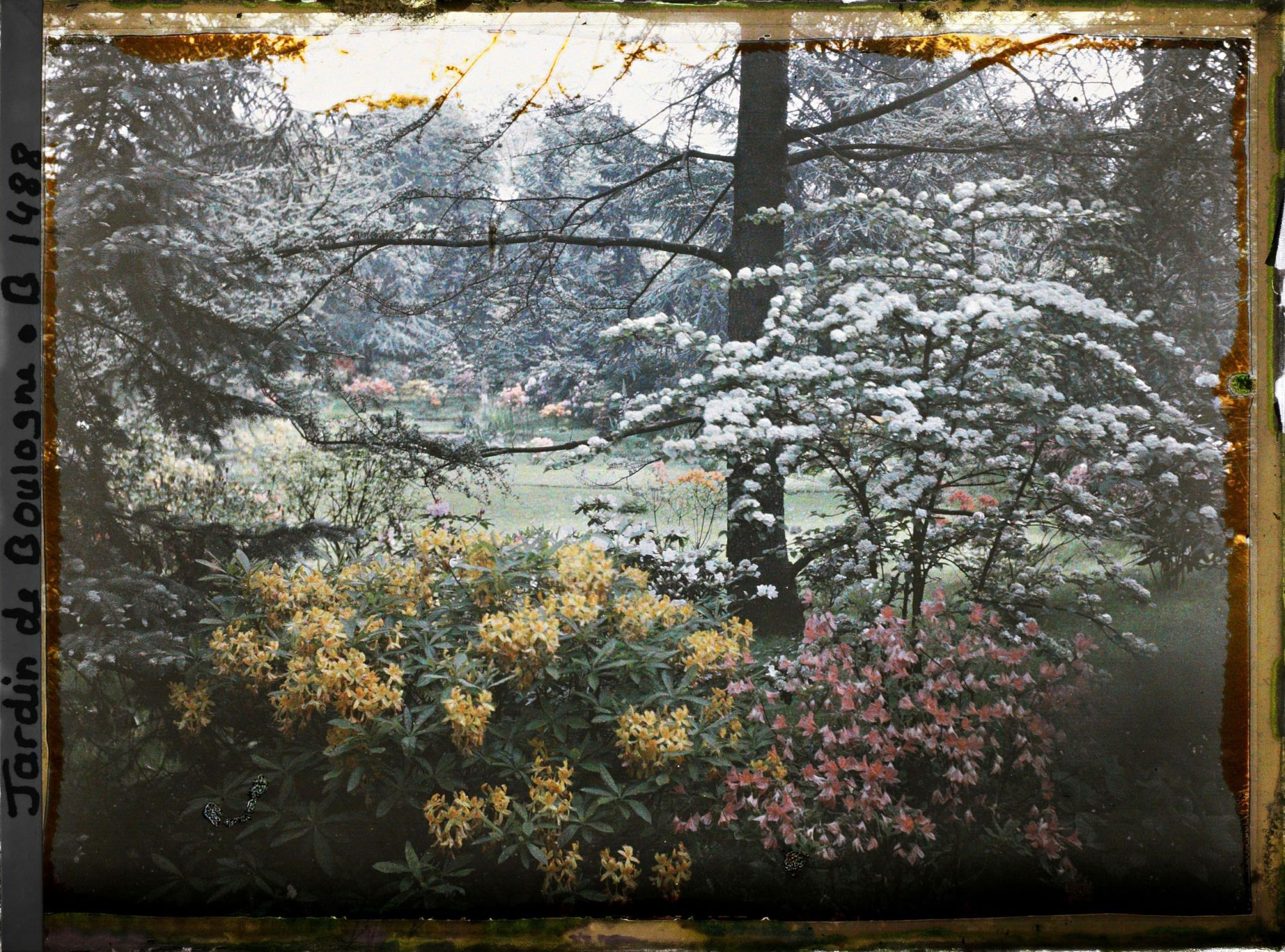 Image représentant Massif d'arbustes en fleurs et partie est du marais vue à travers la végétation en direction du nord
