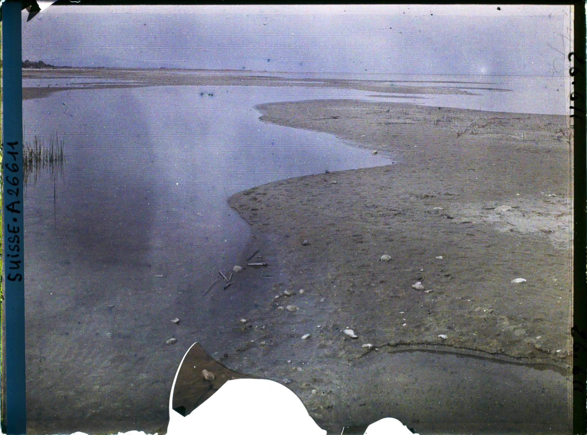 Image représentant Site palafittique préhistorique des Alpes, pieux en bois visibles lors de la baisse des eaux après la grande sécheresse de 1921 sur le lac de Neuchâtel
