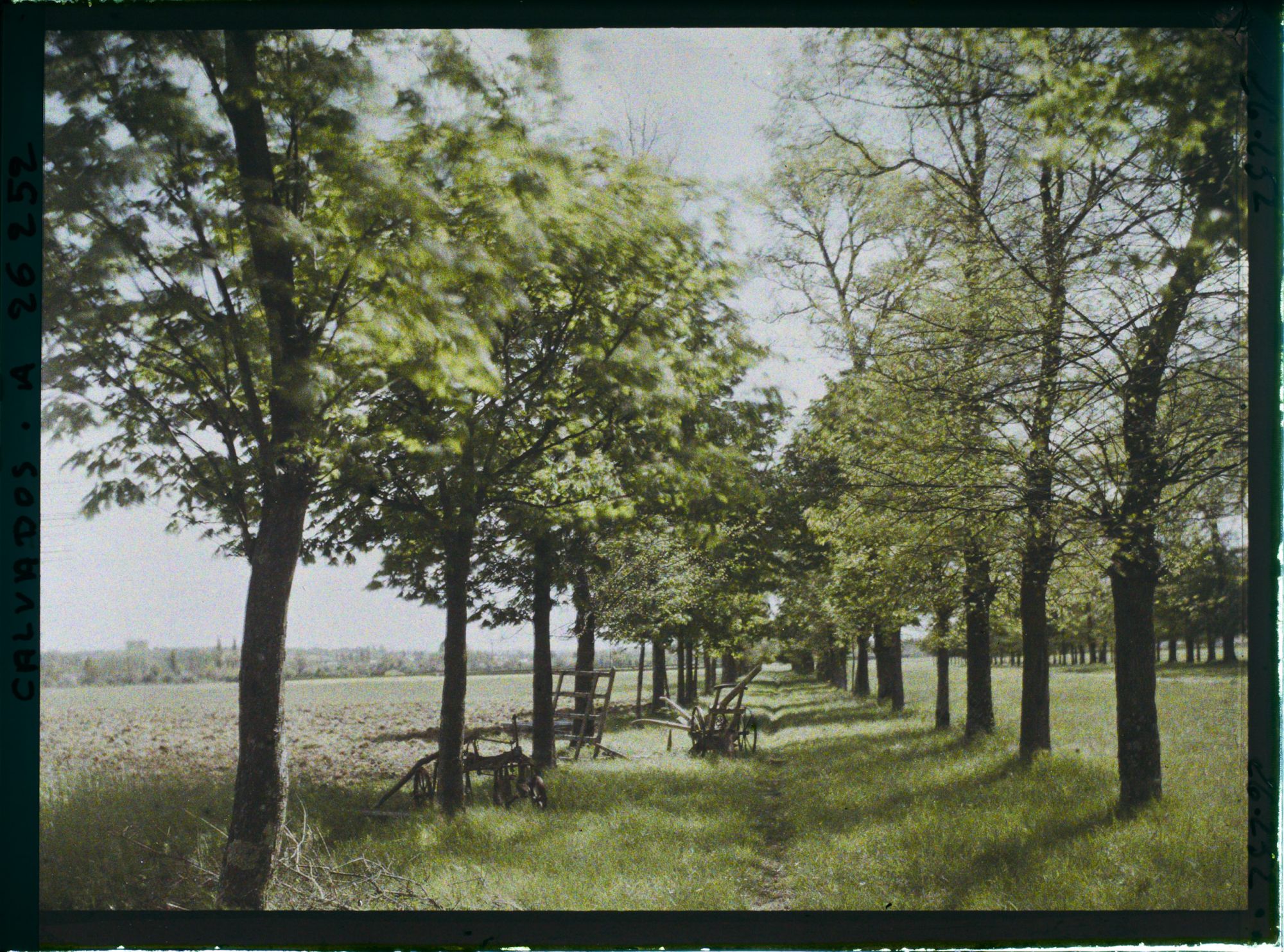 Image représentant Chemin de la ferme de " Canon "