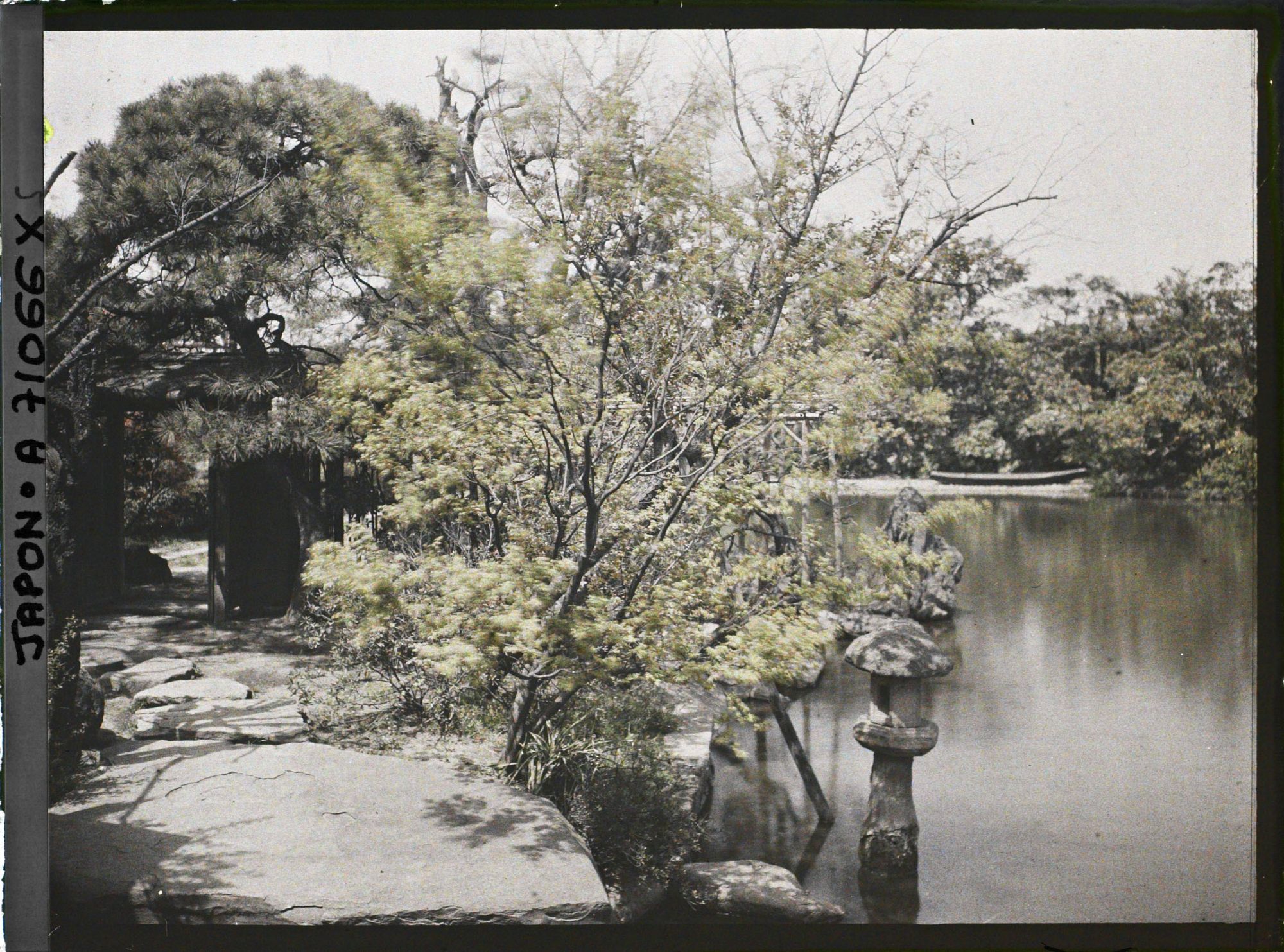 Image représentant Jardin ou parc