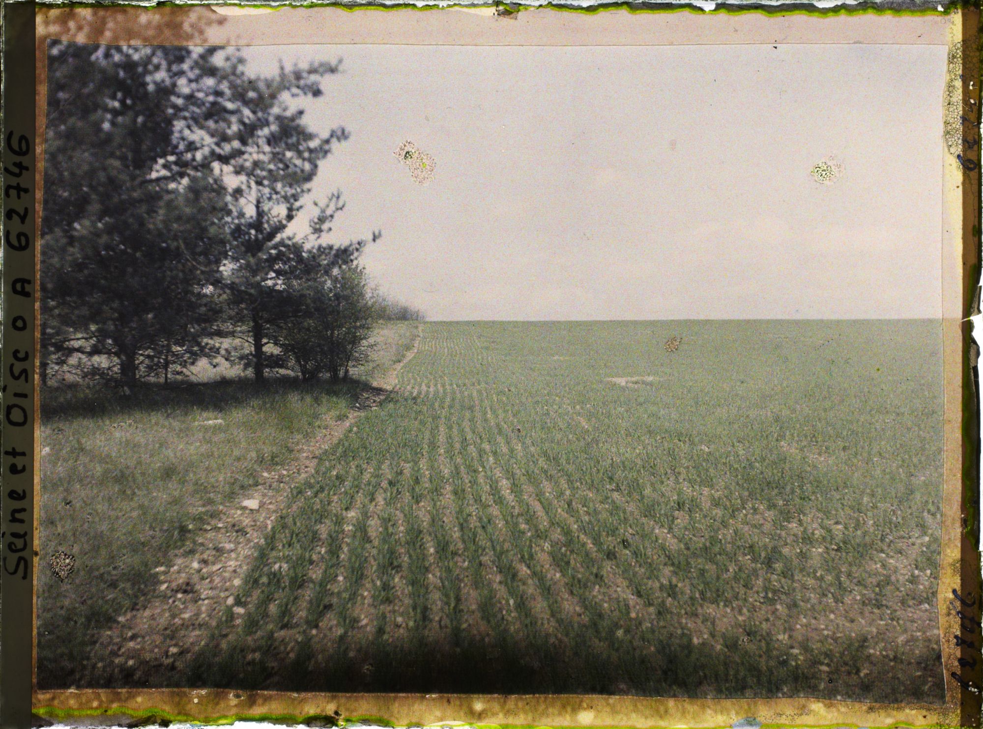 Image représentant Ile de France, Vallangoujard, Champ de blé