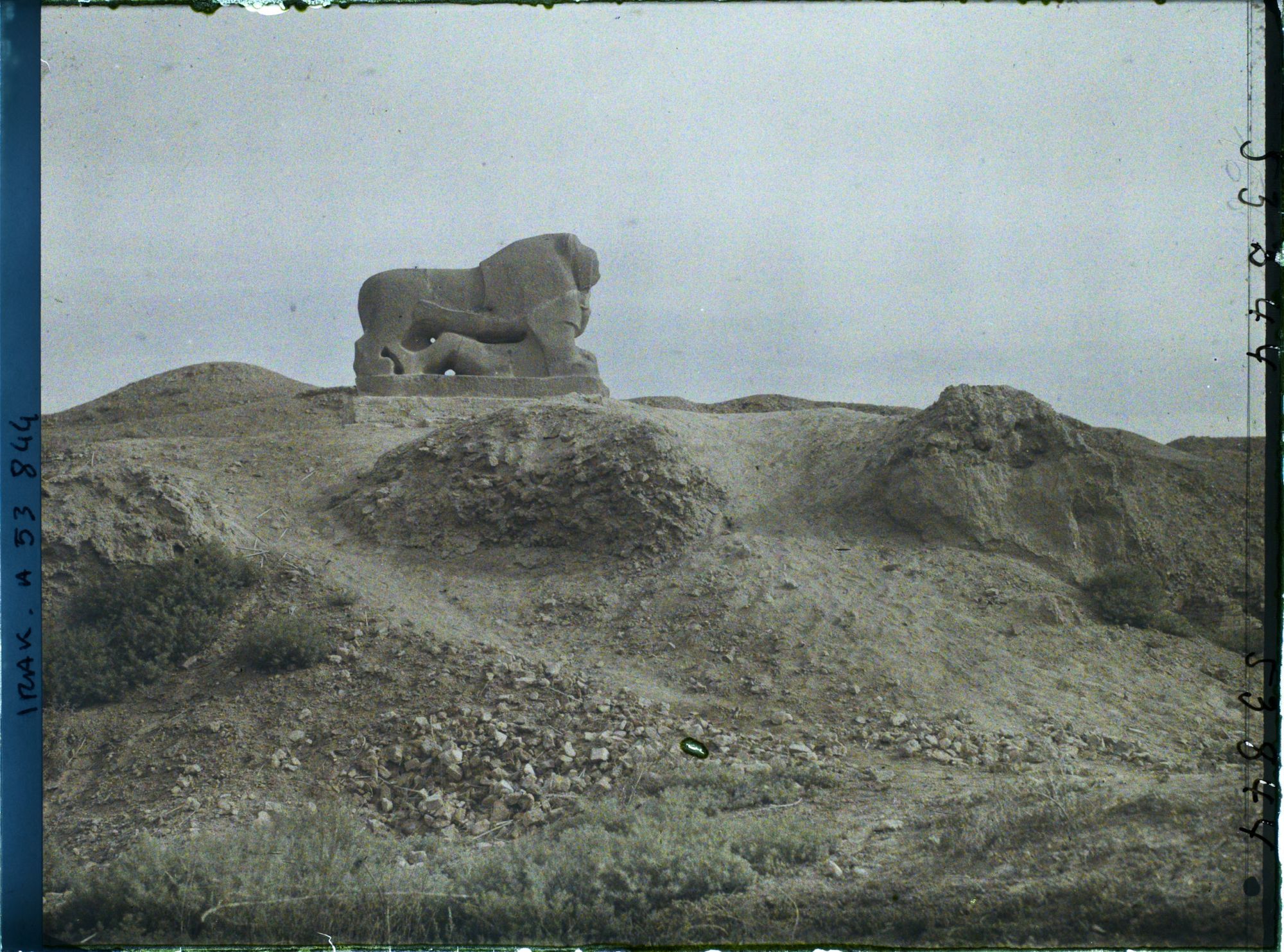 Image représentant Le lion, masse de basalte probablement un trophée, de provenance inconnue
