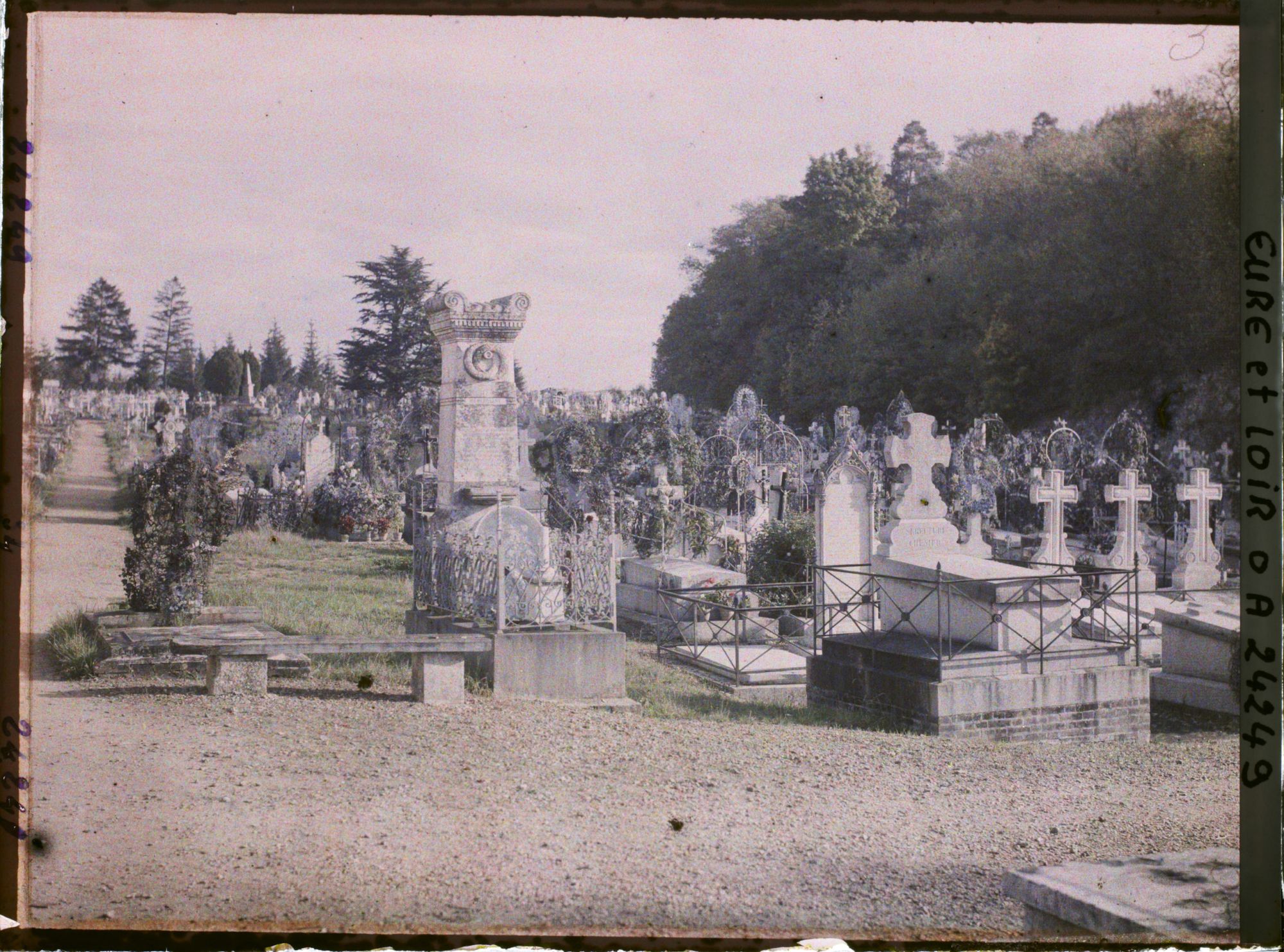 Image représentant L'ancien cimetière près de la chapelle royale Saint-Louis
